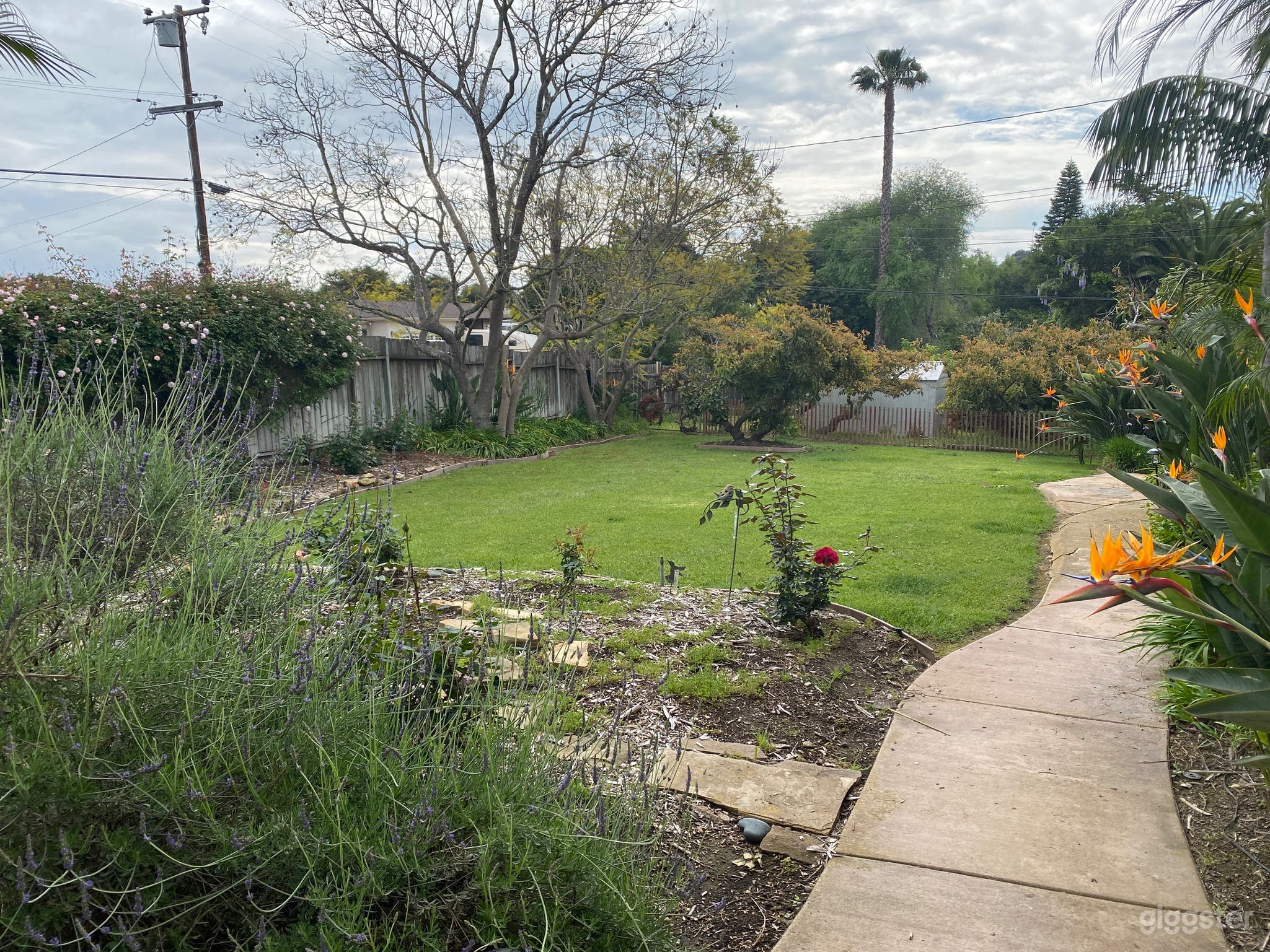 Casa De Las Palmas-Perfect Wedding Venue Photo 2