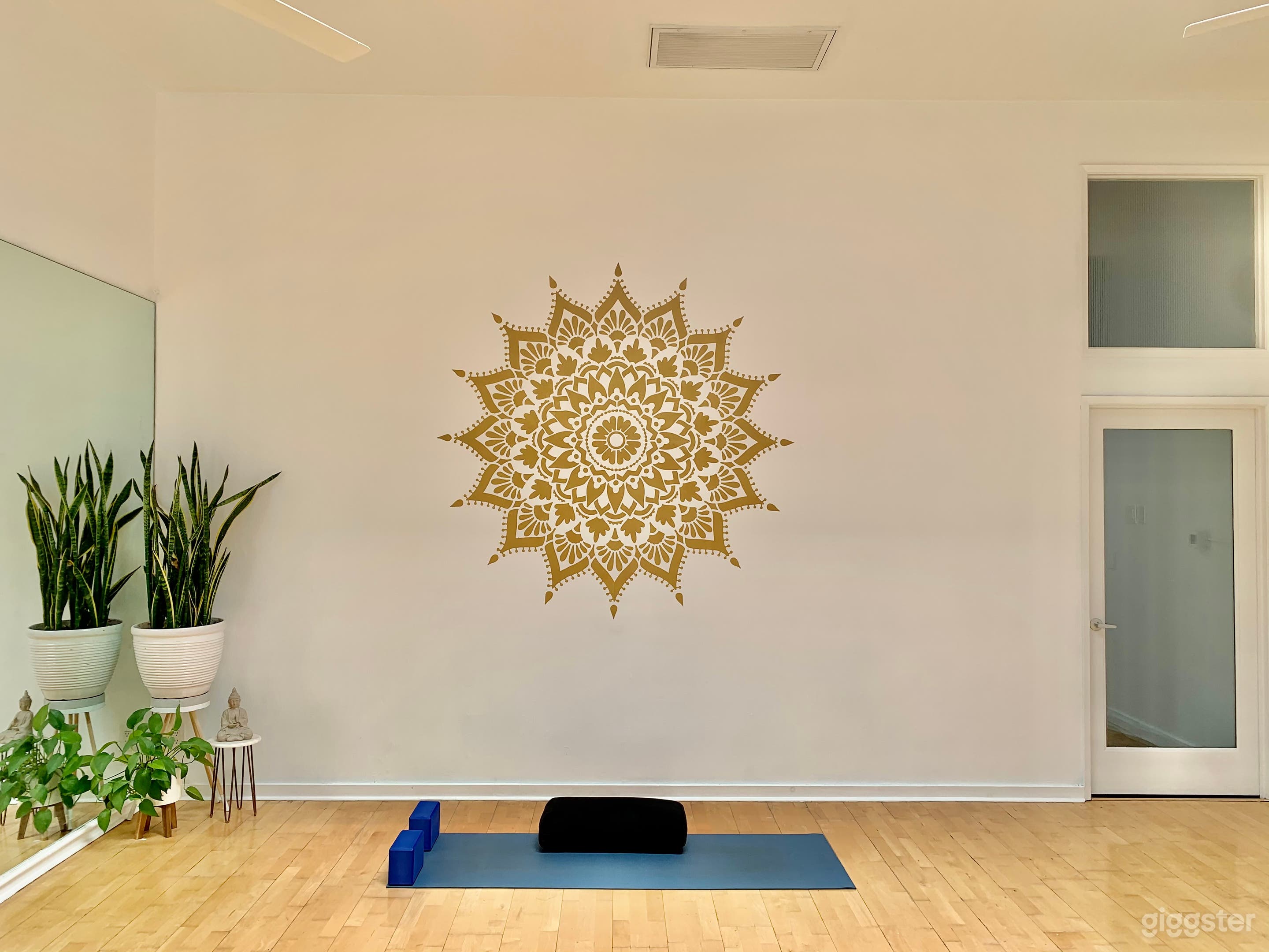 Newly Remodeled Fitness/Yoga Studio Photo 4