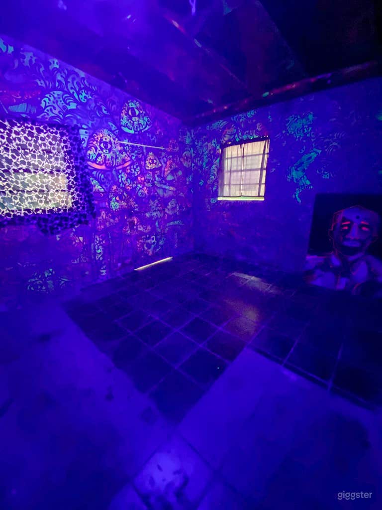 Mushroom Room (Glows in the Dark) 
