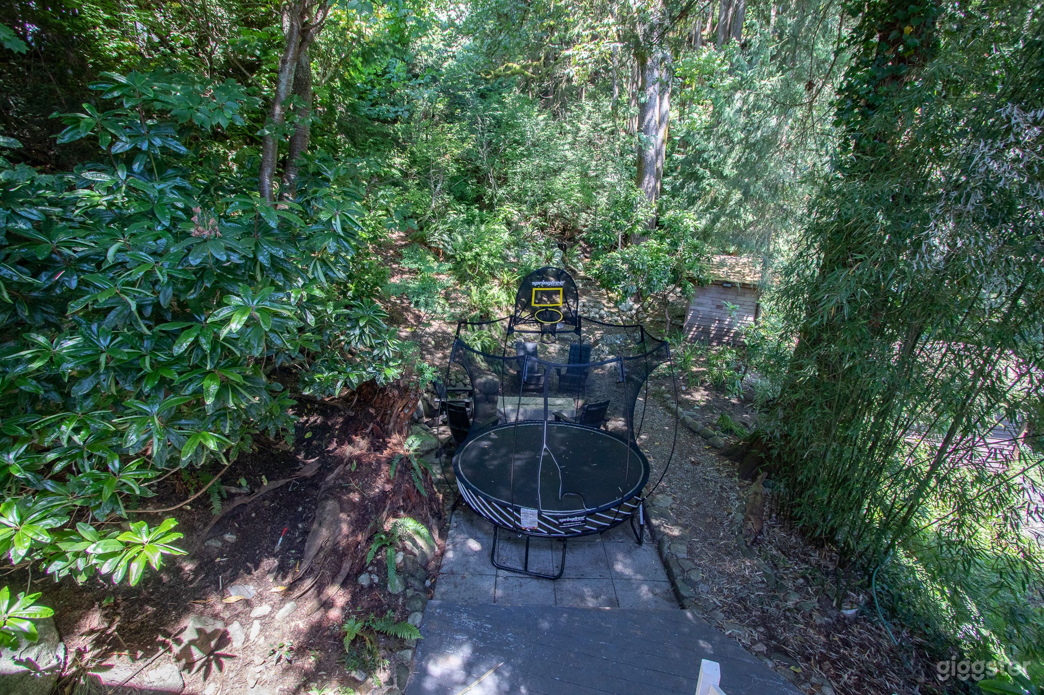 Forest Creek Backyard Hideaway Photo 3