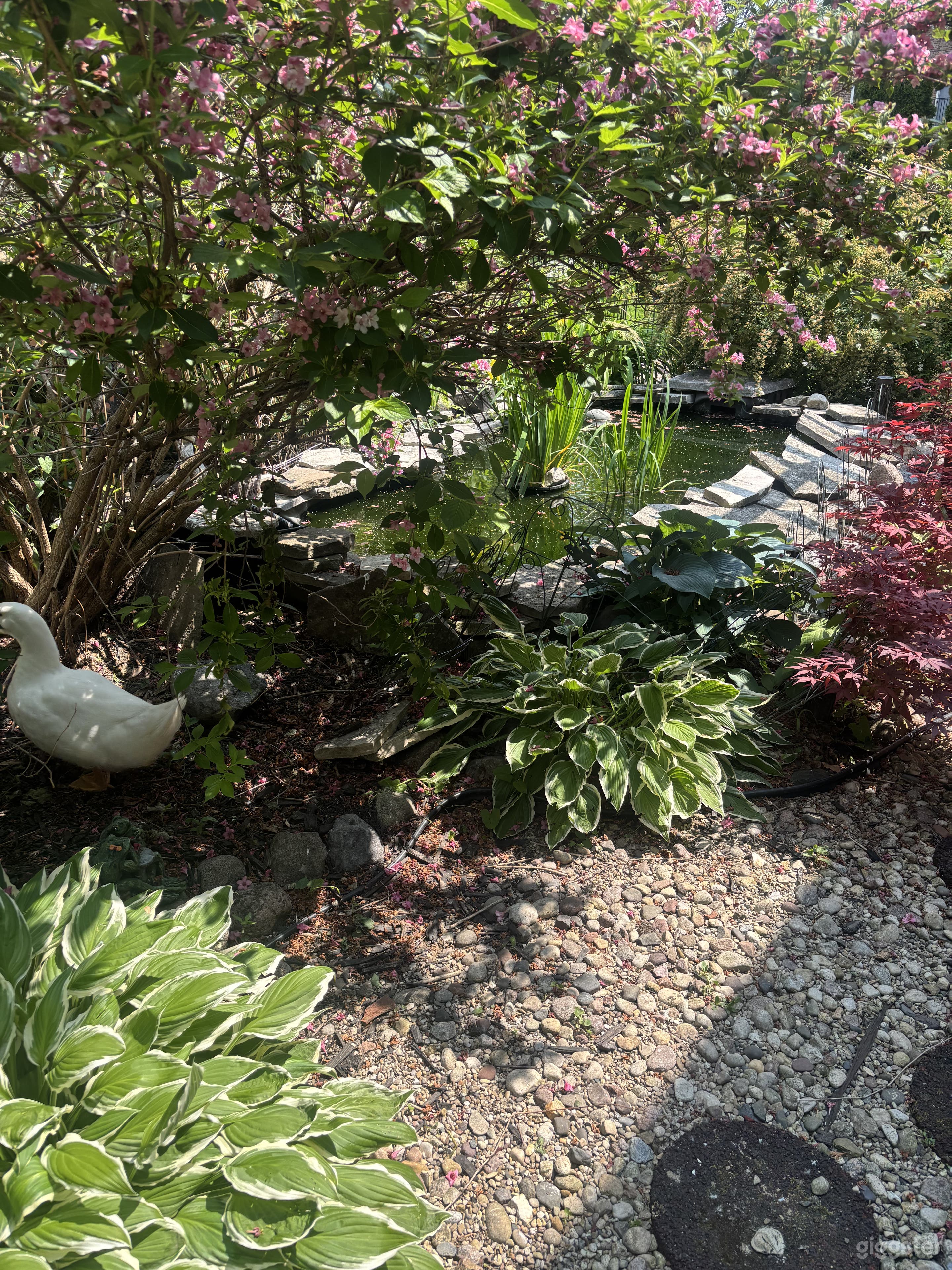 Garden Oasis with 2 Ponds ! Feel the Serenity! Photo 3