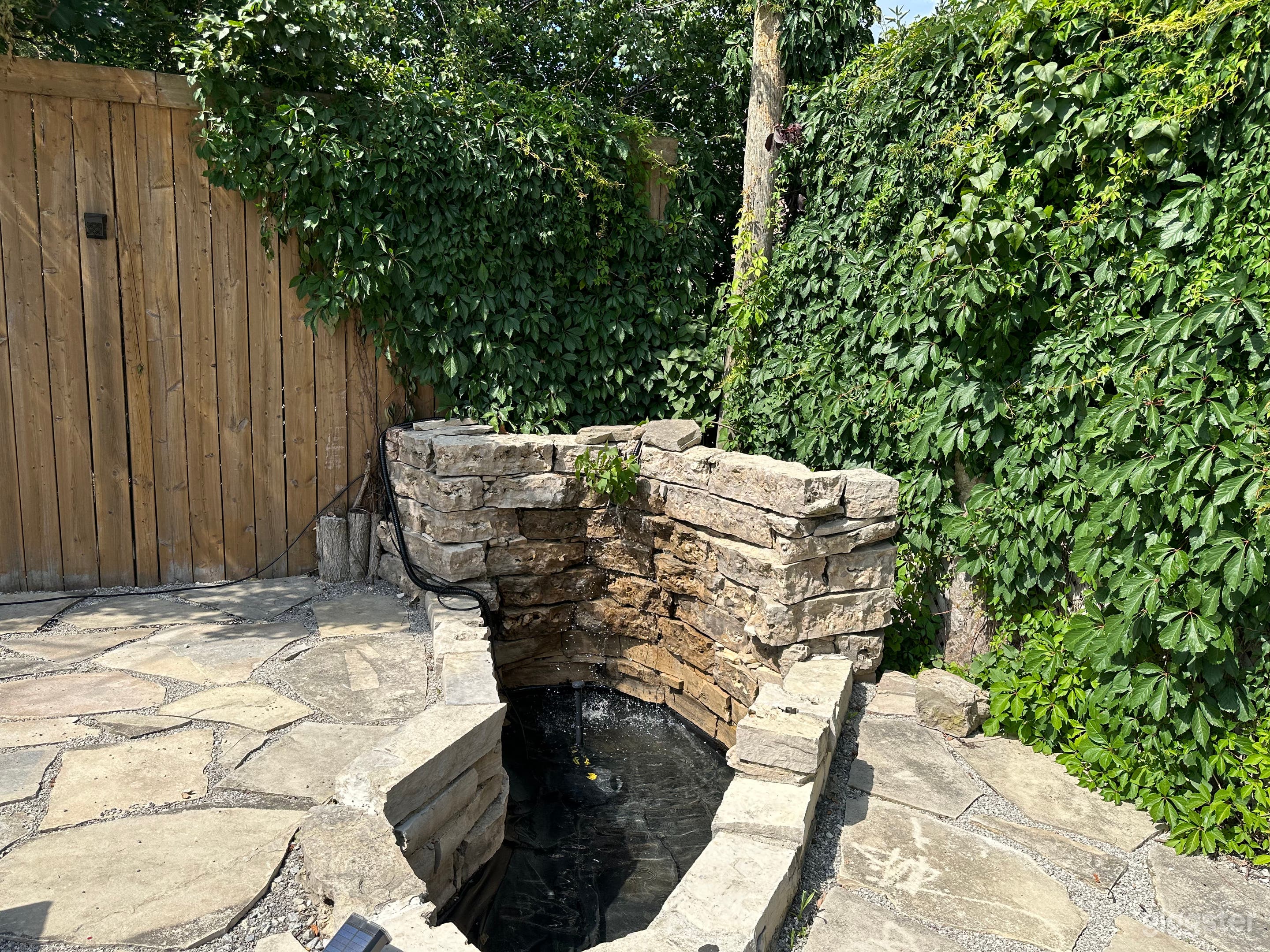 Pond