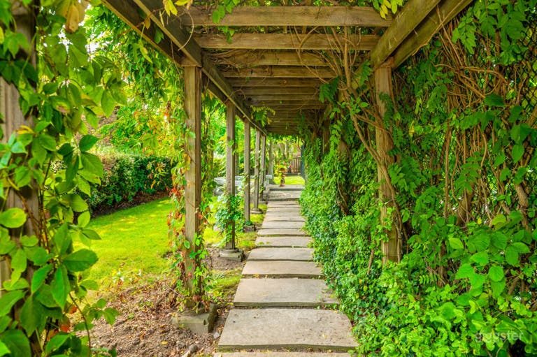  Oasis Retreat | Outdoor Space for Productions 