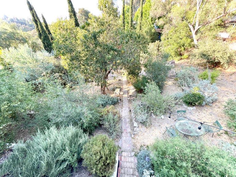  Green Grove Outdoor Space w/ Native California Gardens 