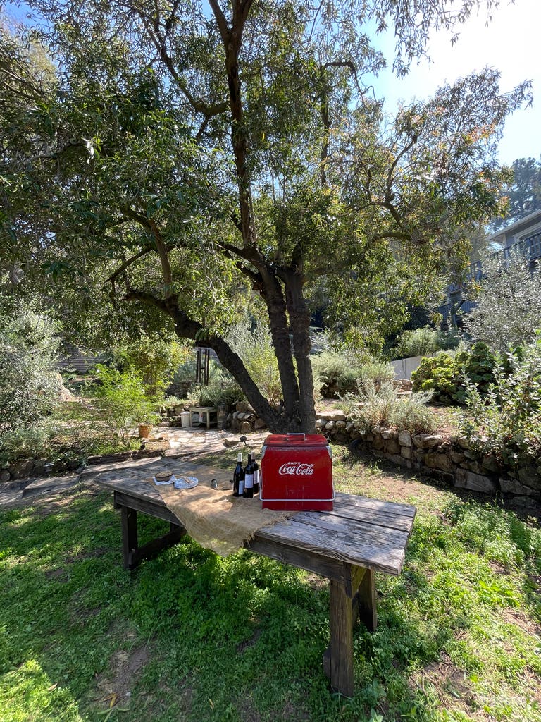  Green Grove Outdoor Space w/ Native California Gardens 