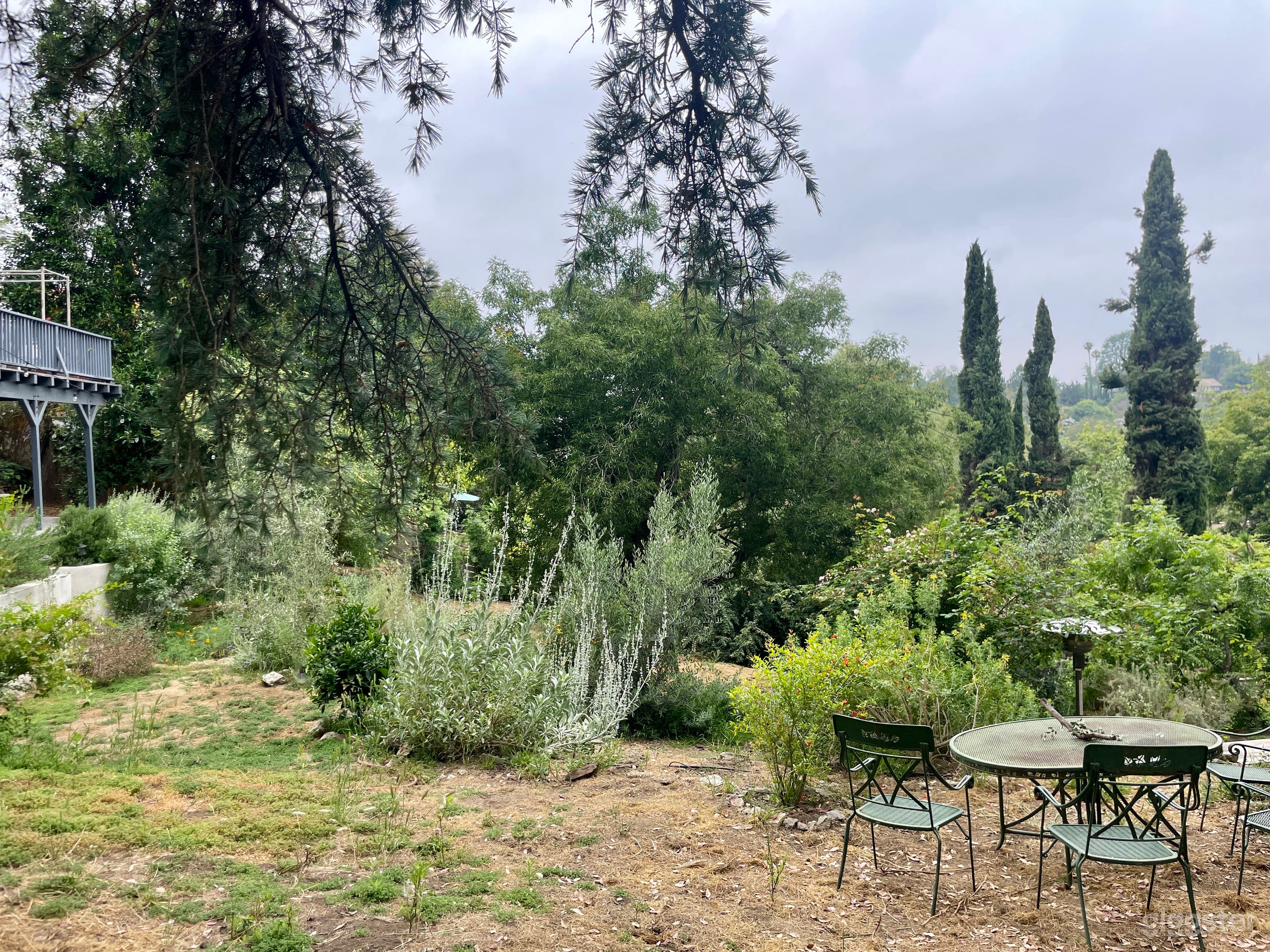 Green Grove Outdoor Space w/ Native California Gardens Photo 4