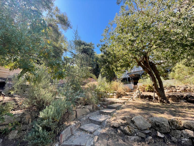 Green Grove Outdoor Space w/ Native California Gardens 