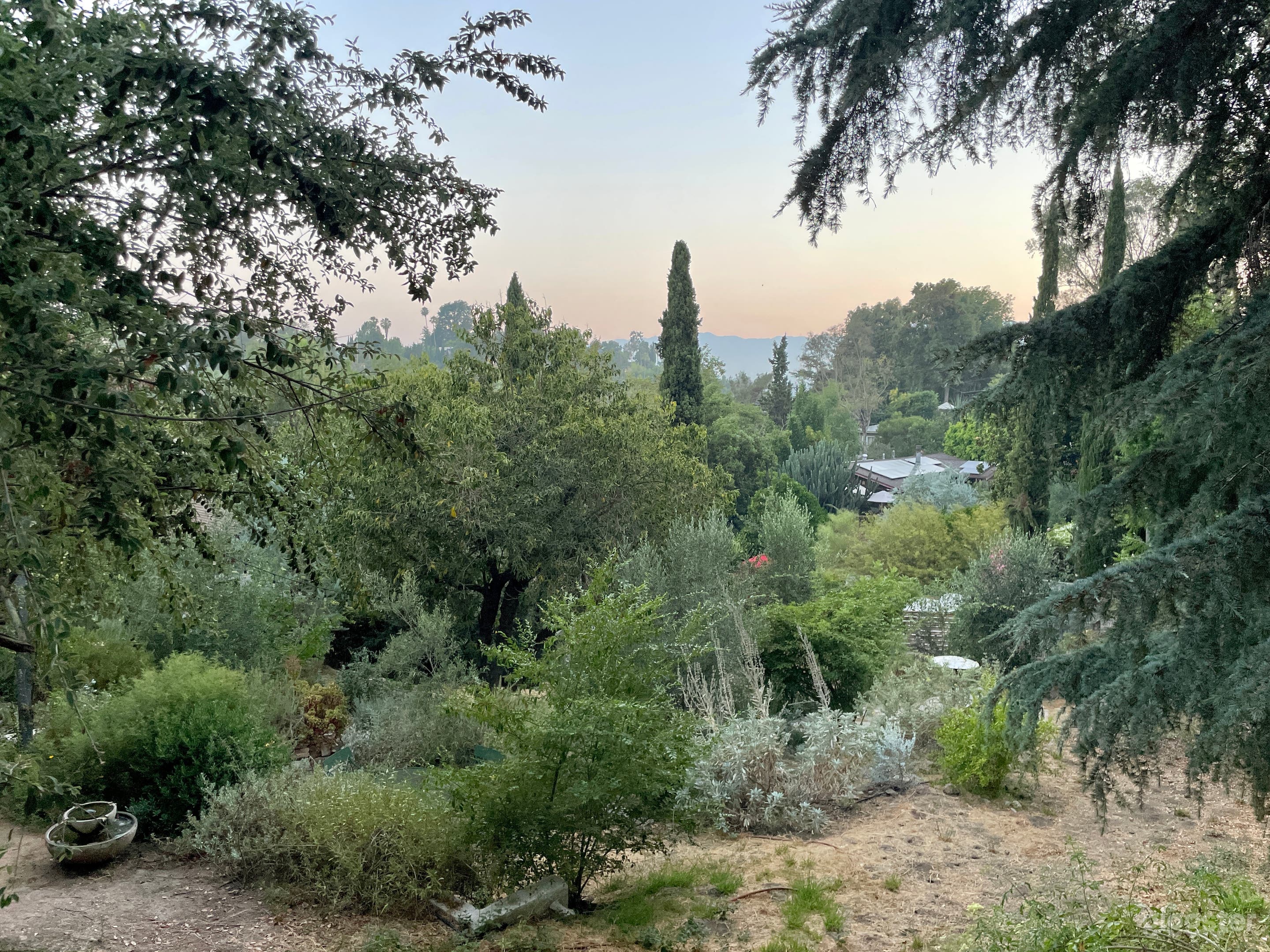 Green Grove Outdoor Space w/ Native California Gardens Photo 1