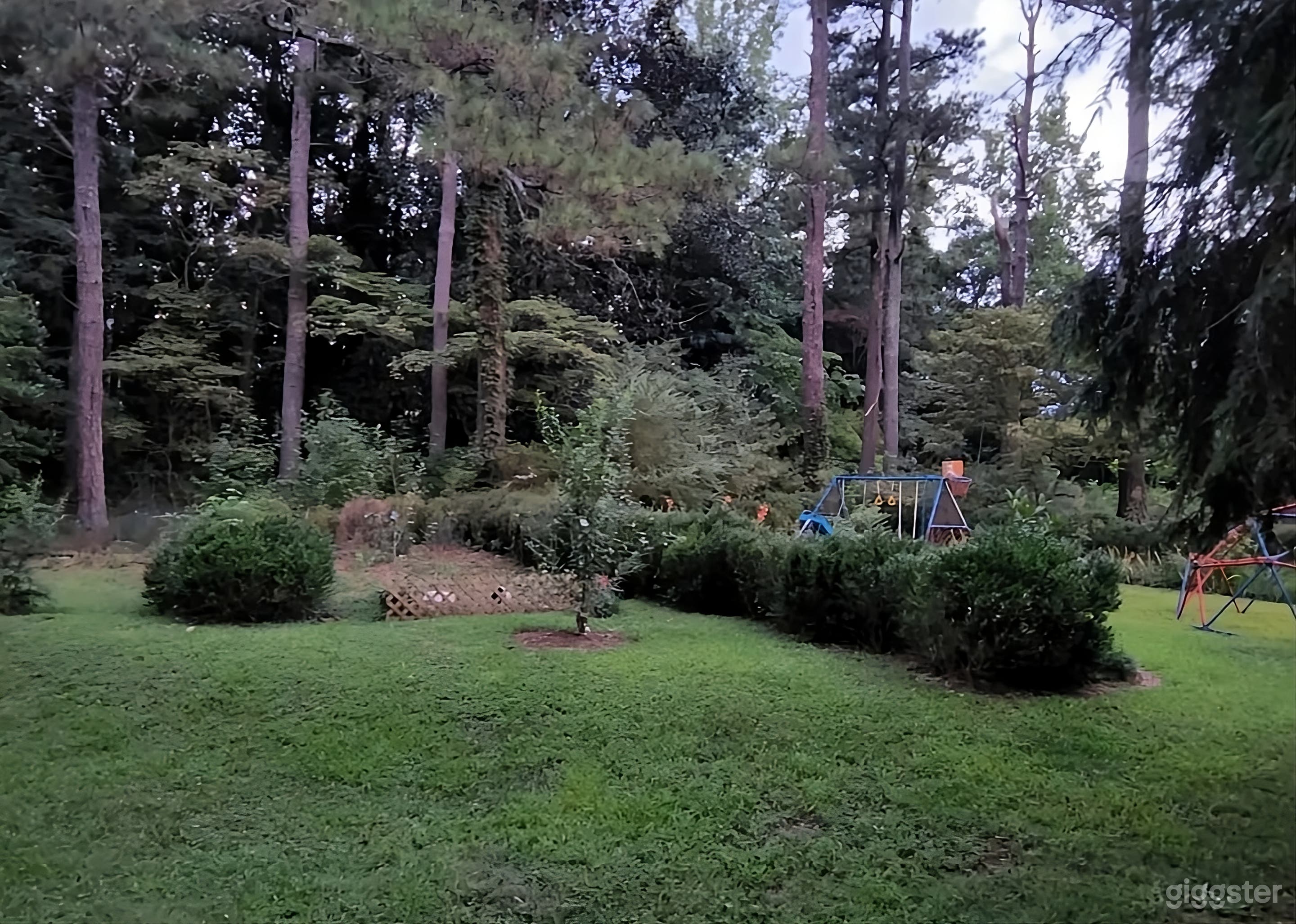 Charming and Expansive Wooded Backyard Photo 1