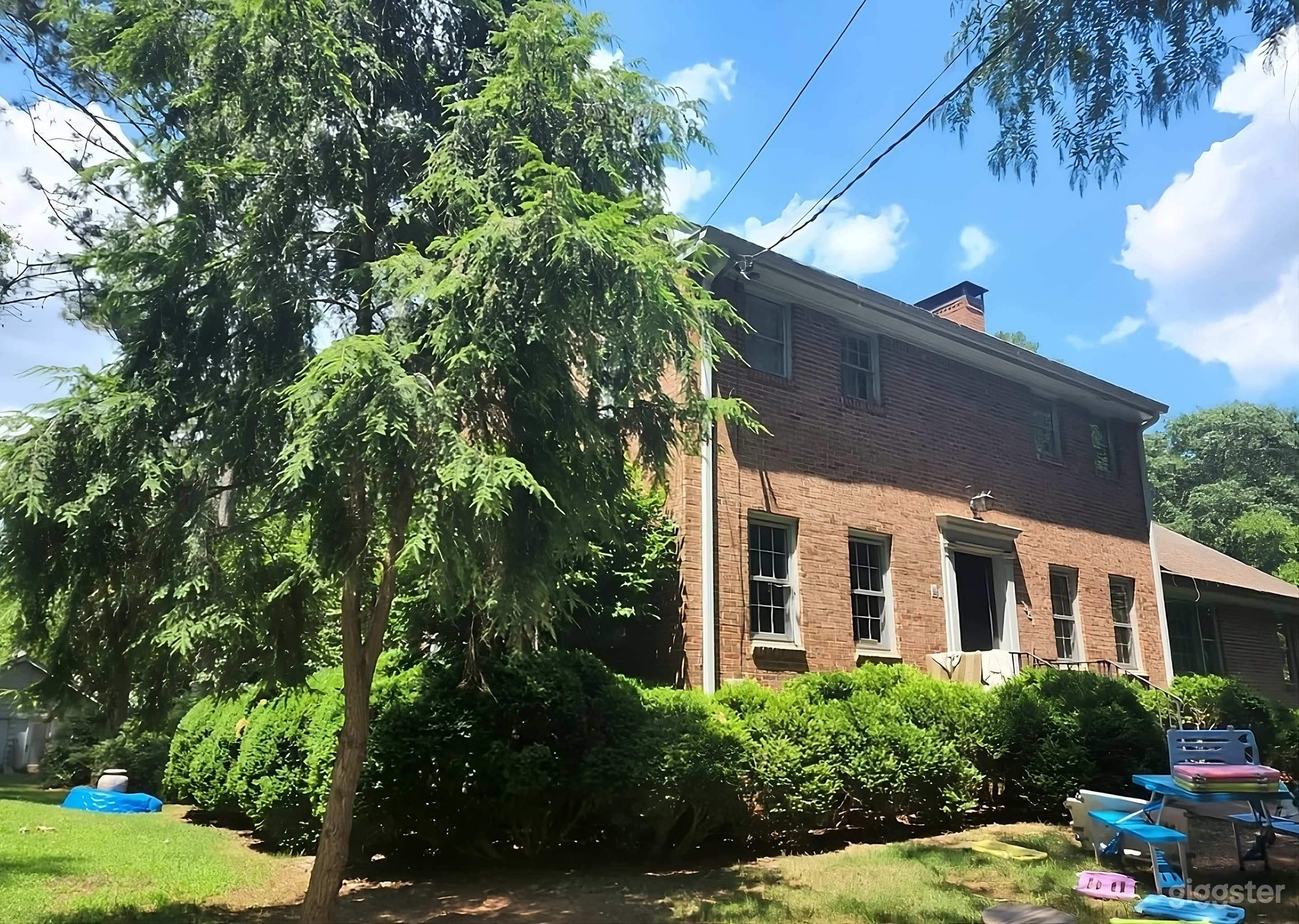 Charming and Expansive Wooded Backyard Photo 4