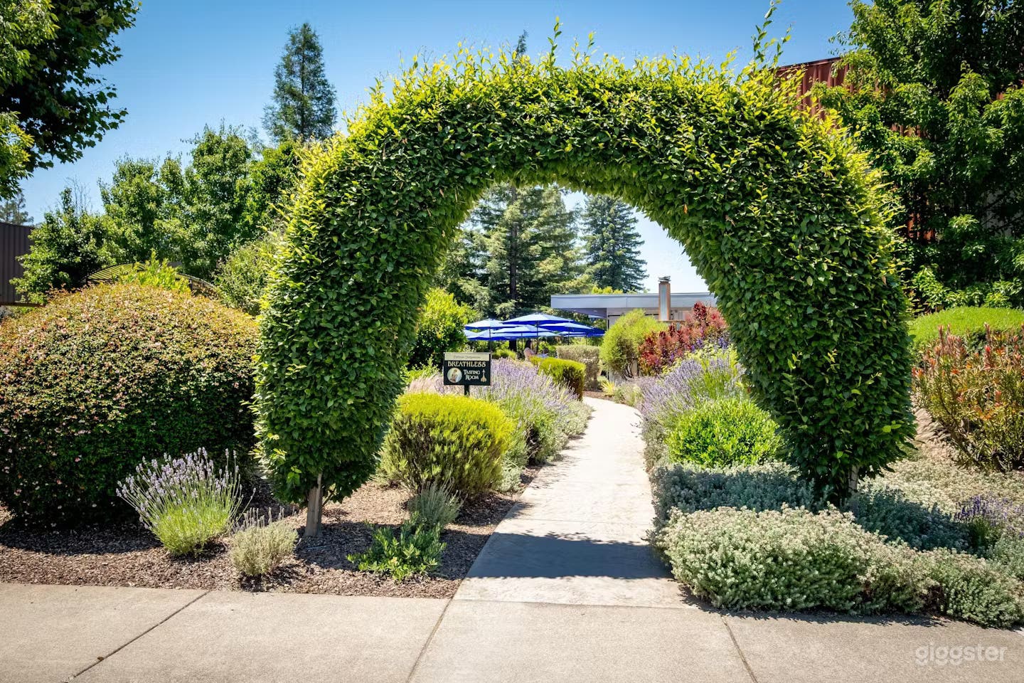 Beautiful Patio and Tasting Room in Wine Country Photo 2