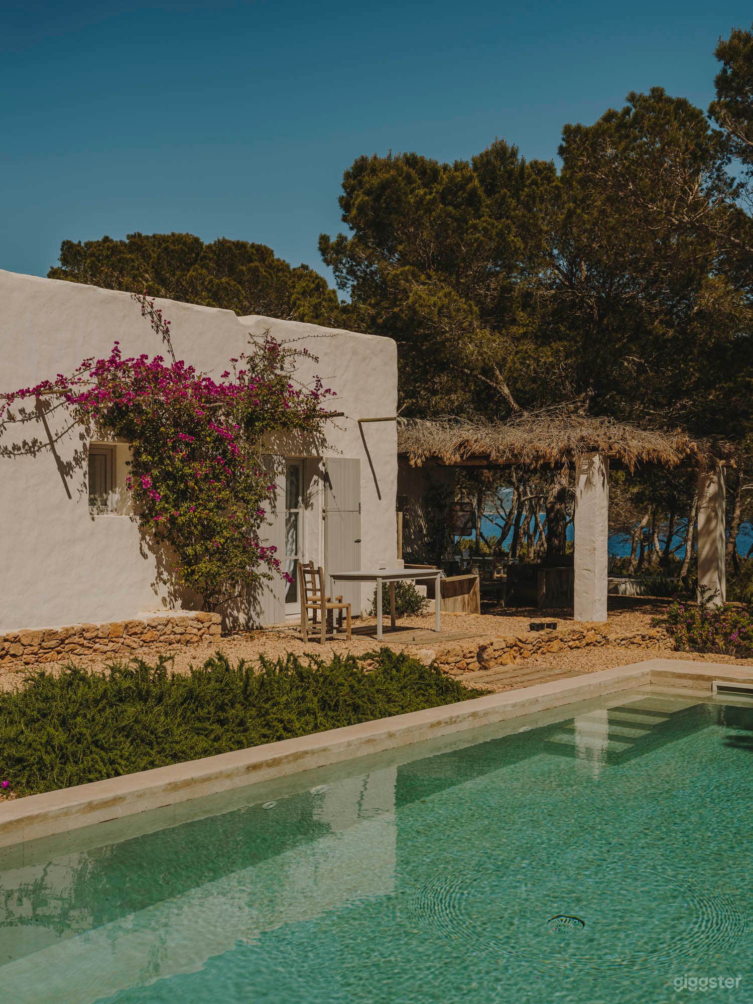 Pool and front porch with bougainvillea