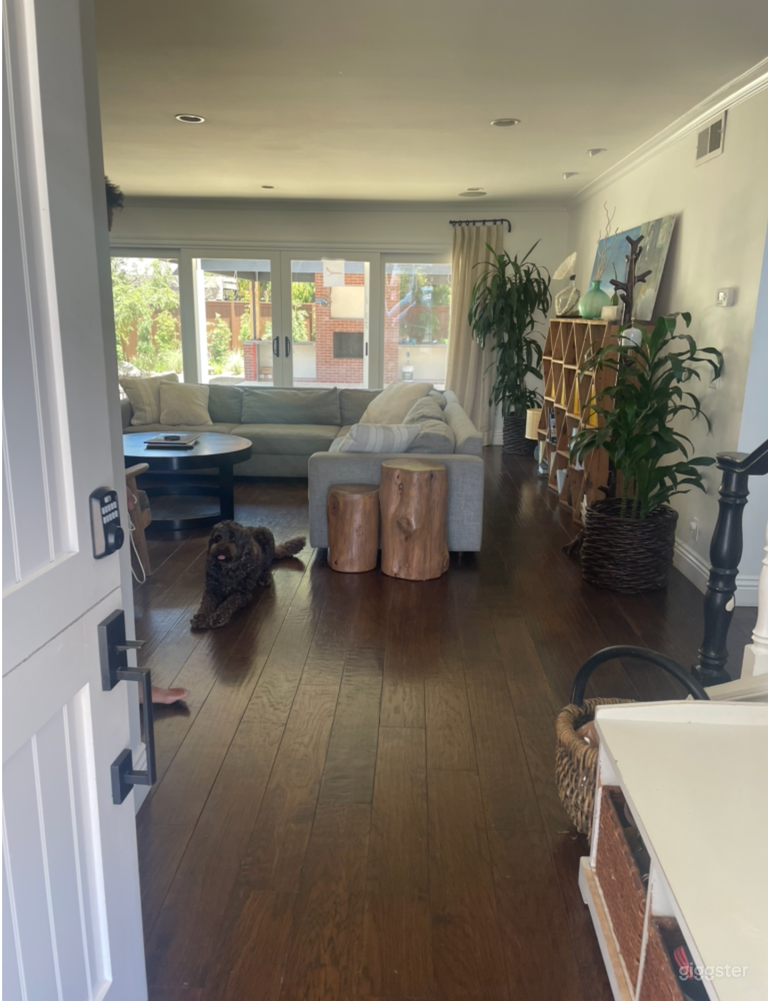  Front entry into living room - back doors are sliders that lead to large newly renovated back yard with Pavillion / brick fireplace 