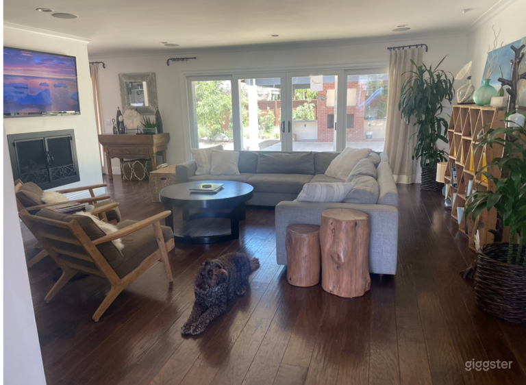  Living room / gas fireplace 