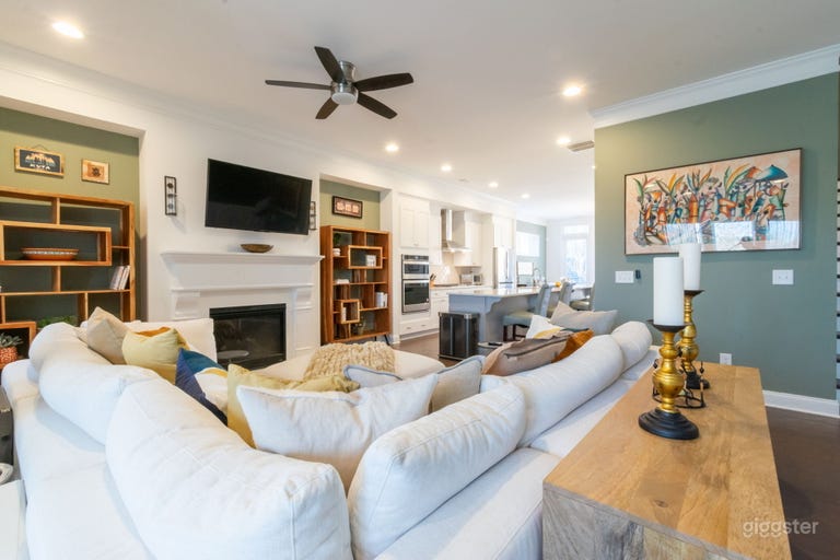  Modern Brownstone Townhome Natural Light 
