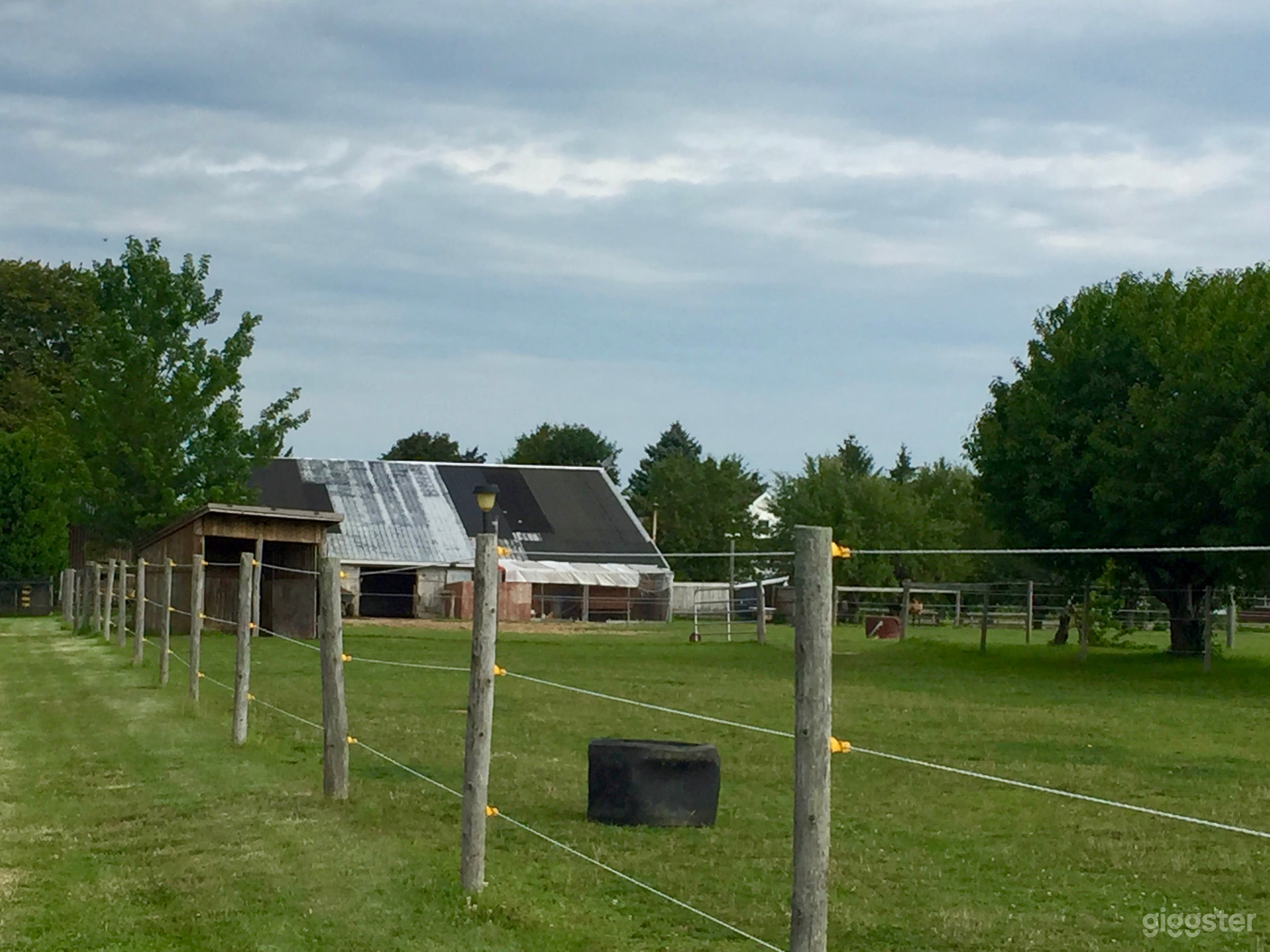 Man Cave Barn With Vintage Car Decor Photo 4