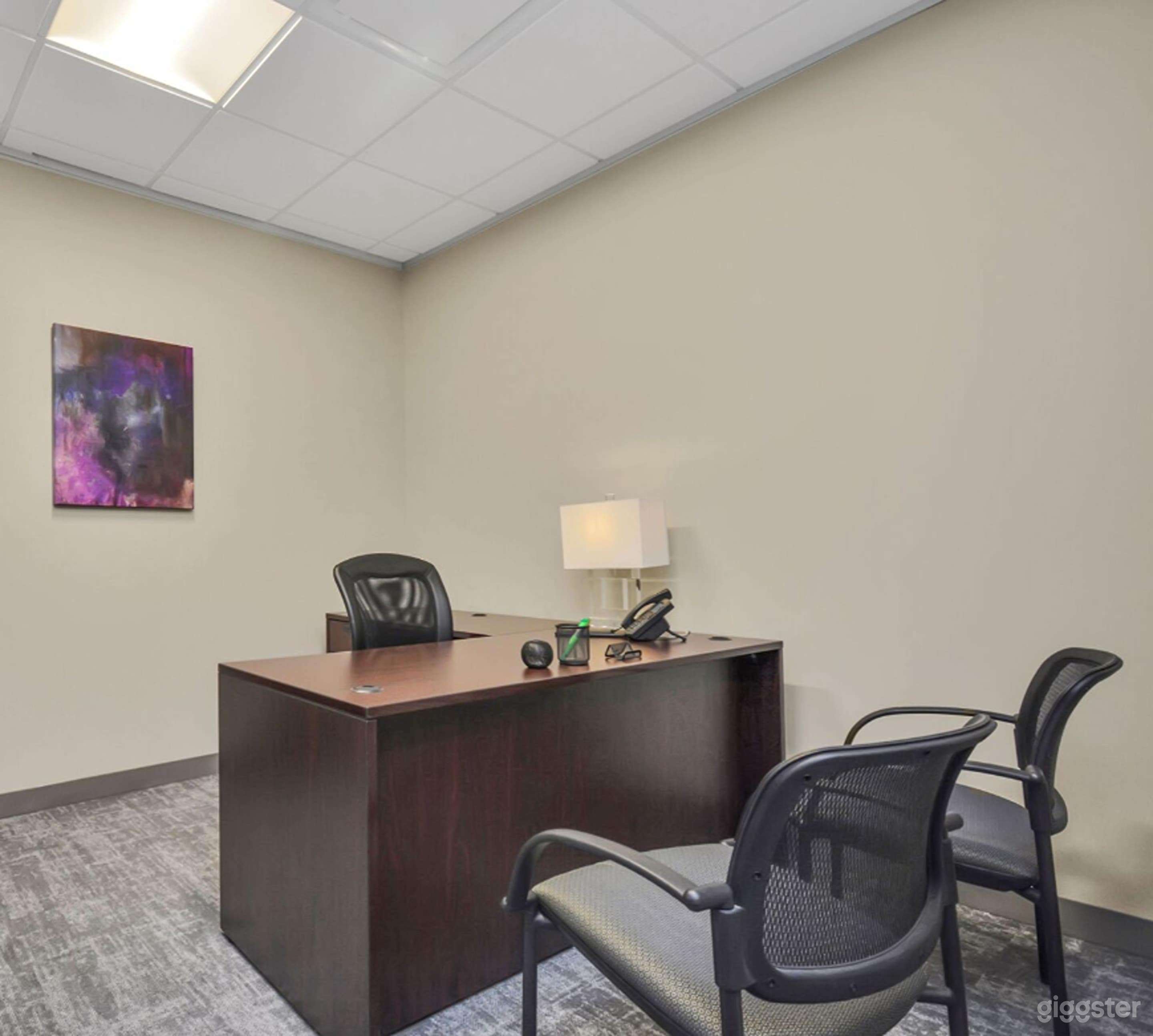 Private Day Office Photo 4