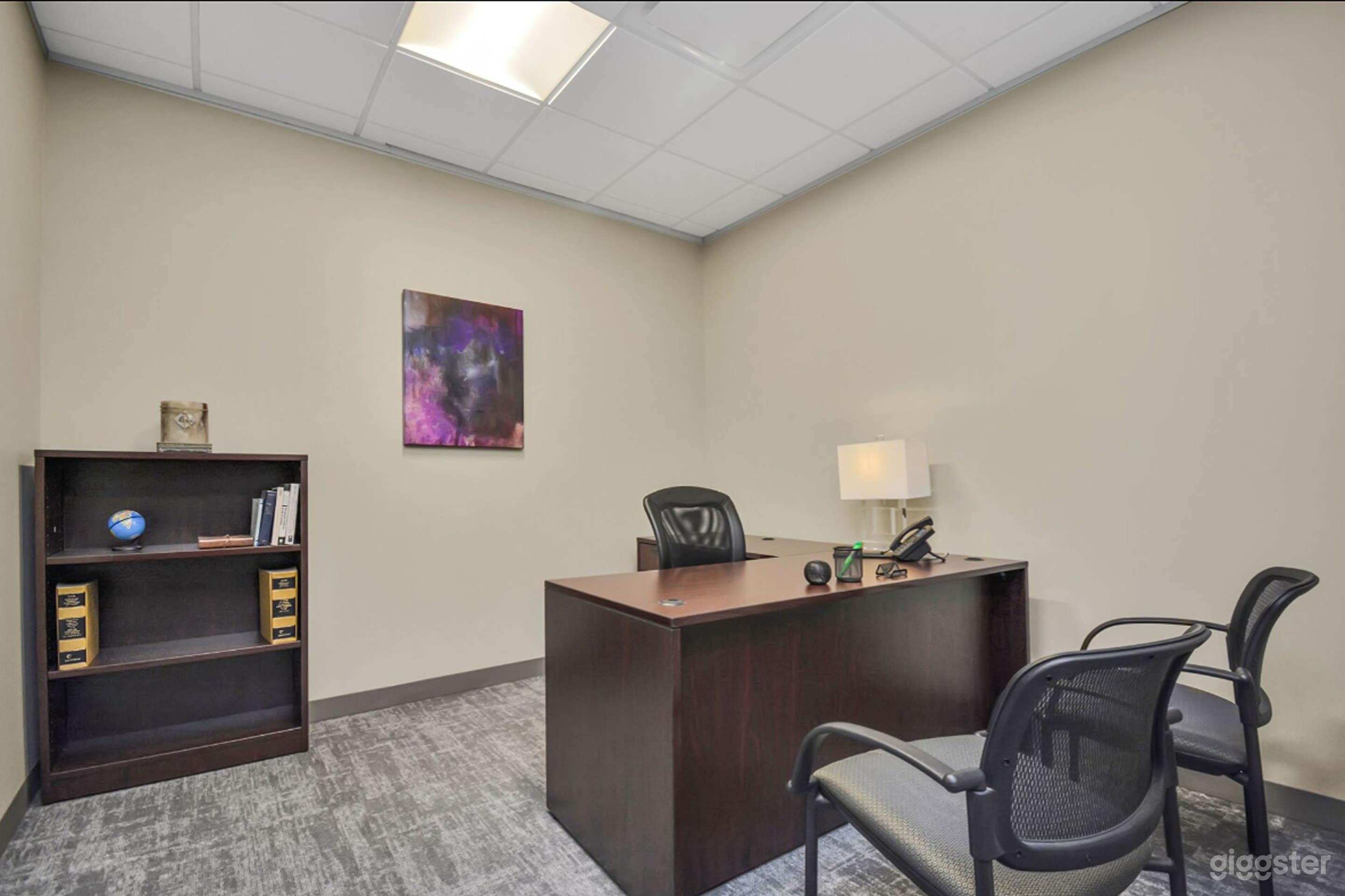 Private Day Office Photo 2