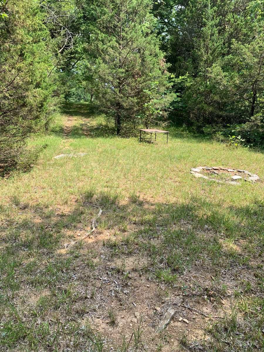 Scenic Nature therapy camping in Lascassas Photo 3