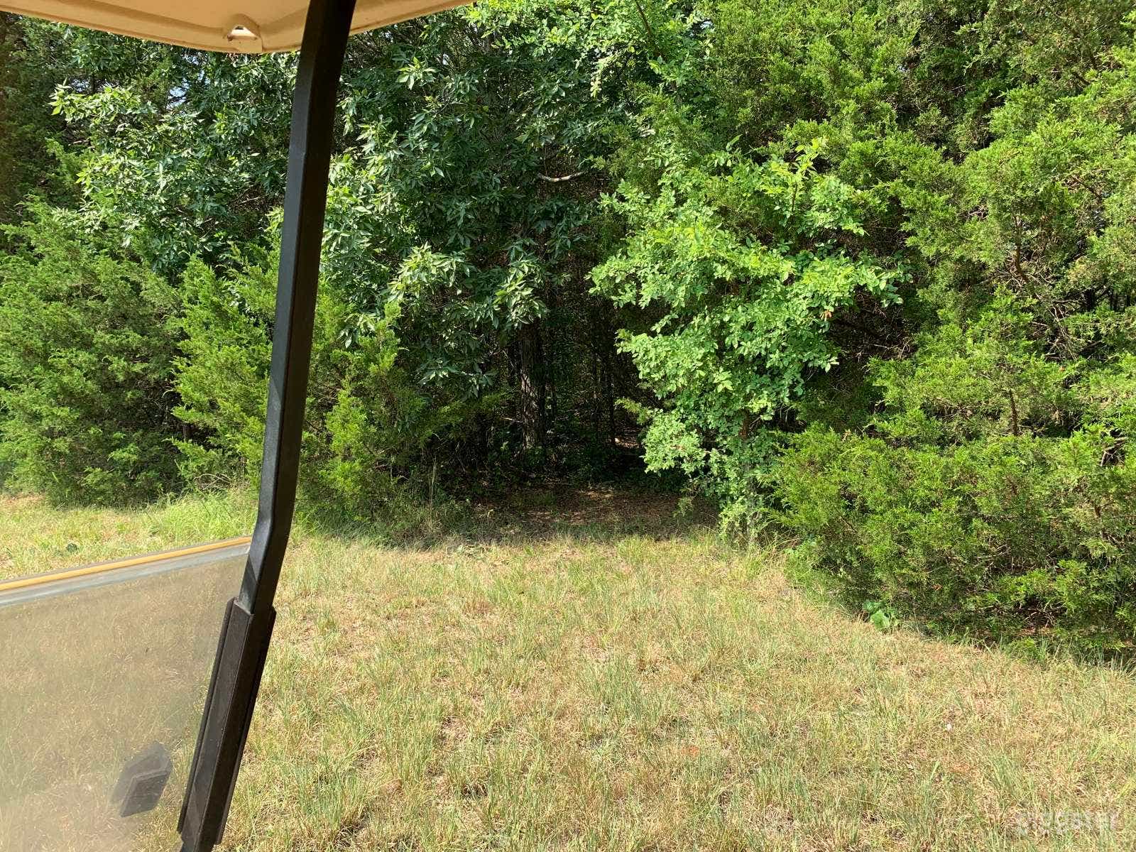 Scenic Nature therapy camping in Lascassas Photo 4