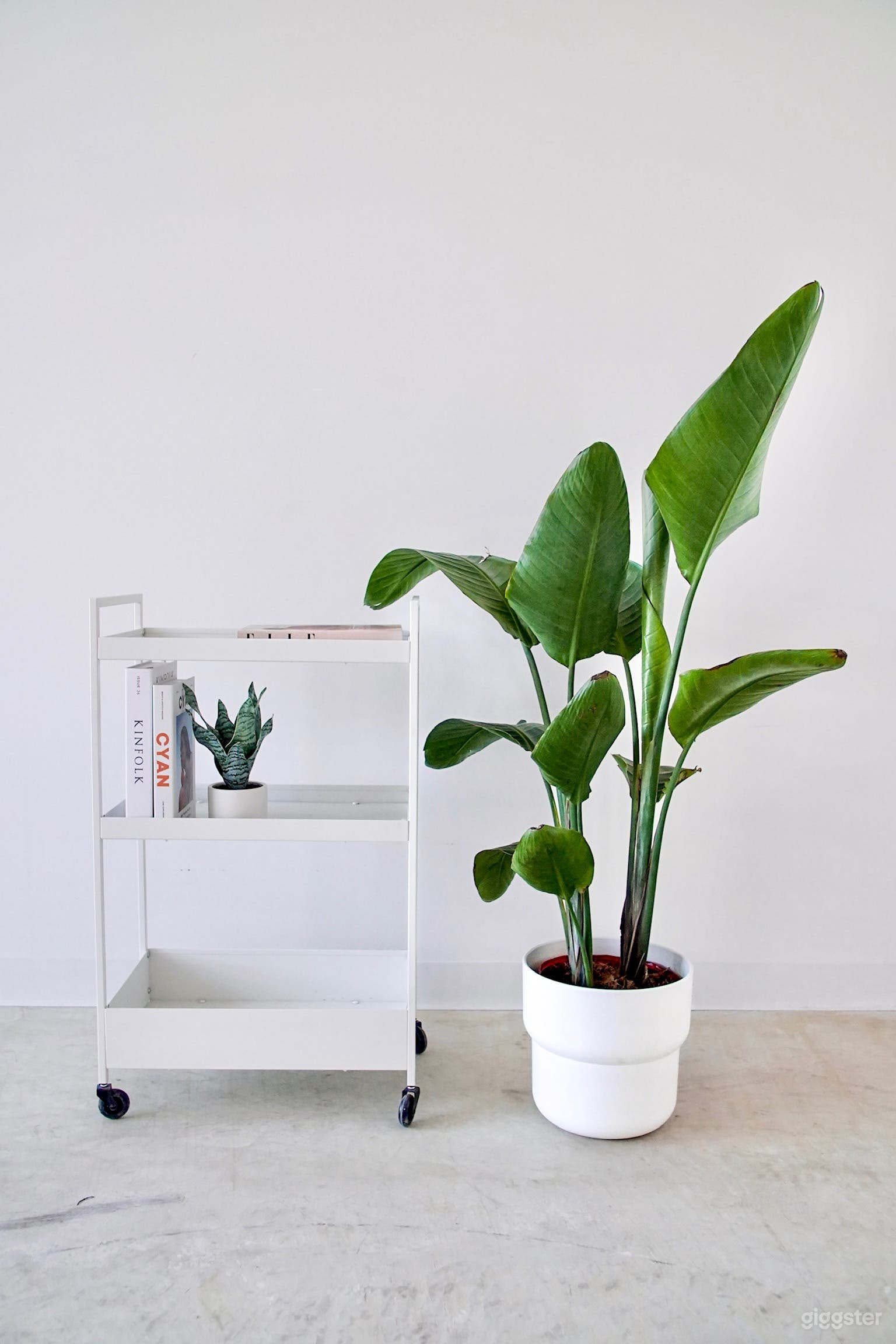 Natural Light, Modern, Creative Space Photo 3