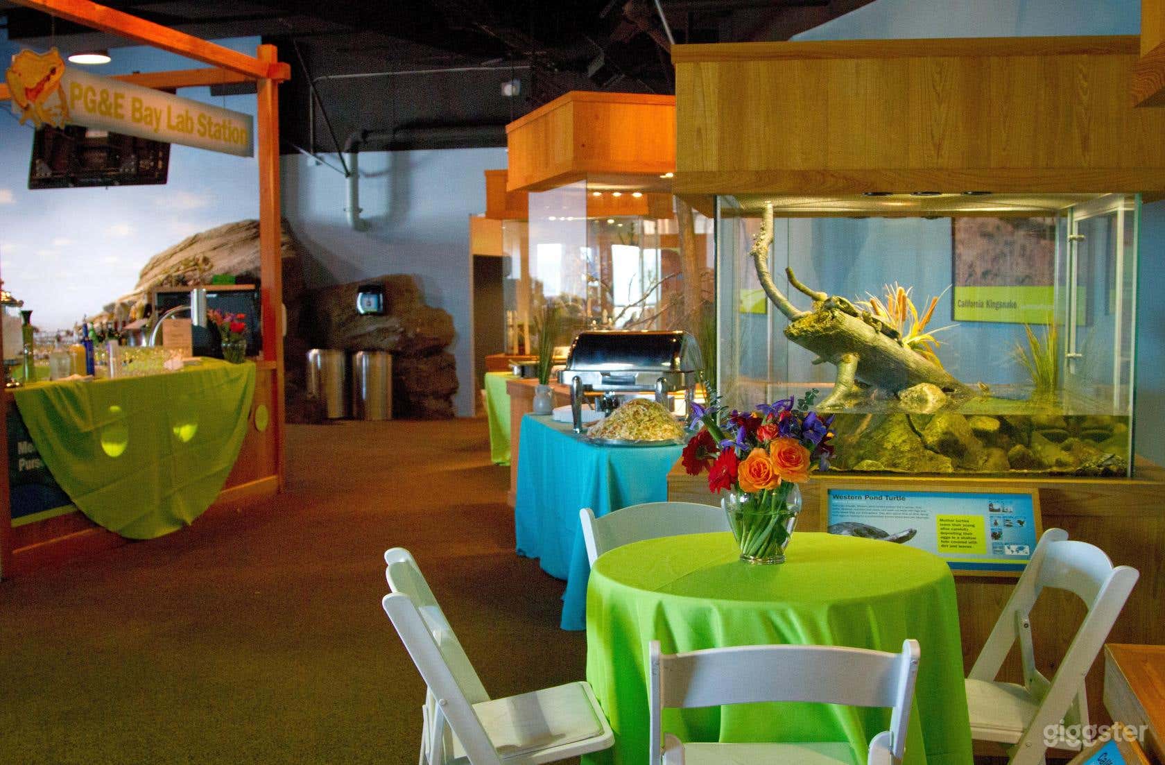 Bay lab and Touch Pools  Photo 3