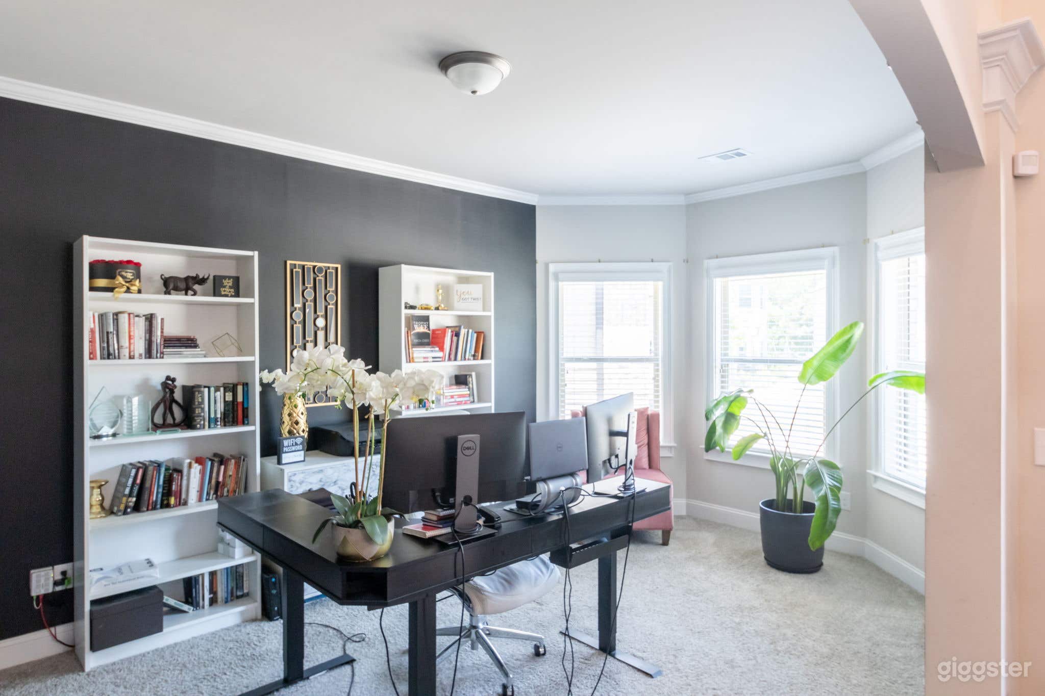 Commercial and Photoshoot Ready Home   Photo 2