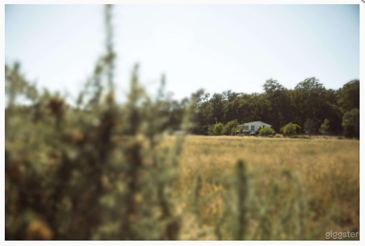 Accommodating Place at the Heart of Melbourne Photo 2