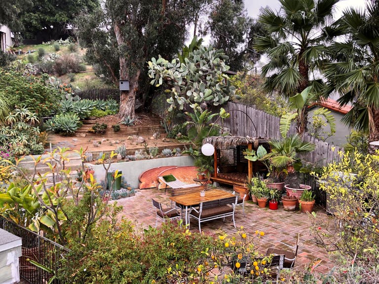  brick patio and cactus garden 