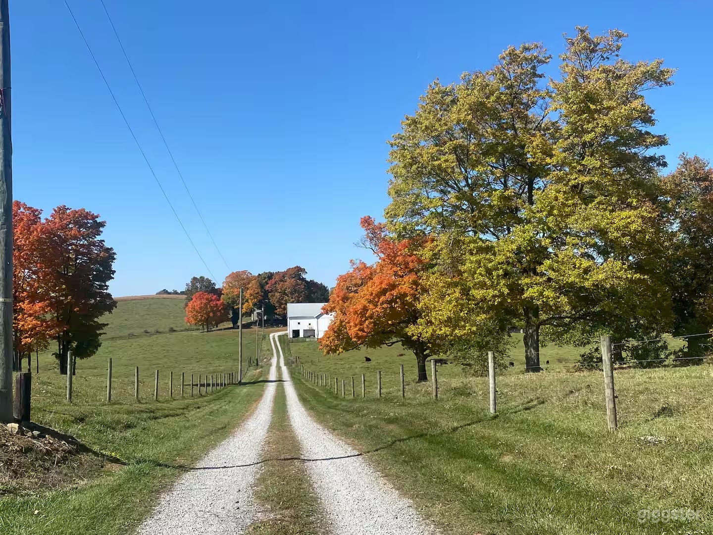 Classic Midwest Farmhouse on Private 140 Acres Photo 2
