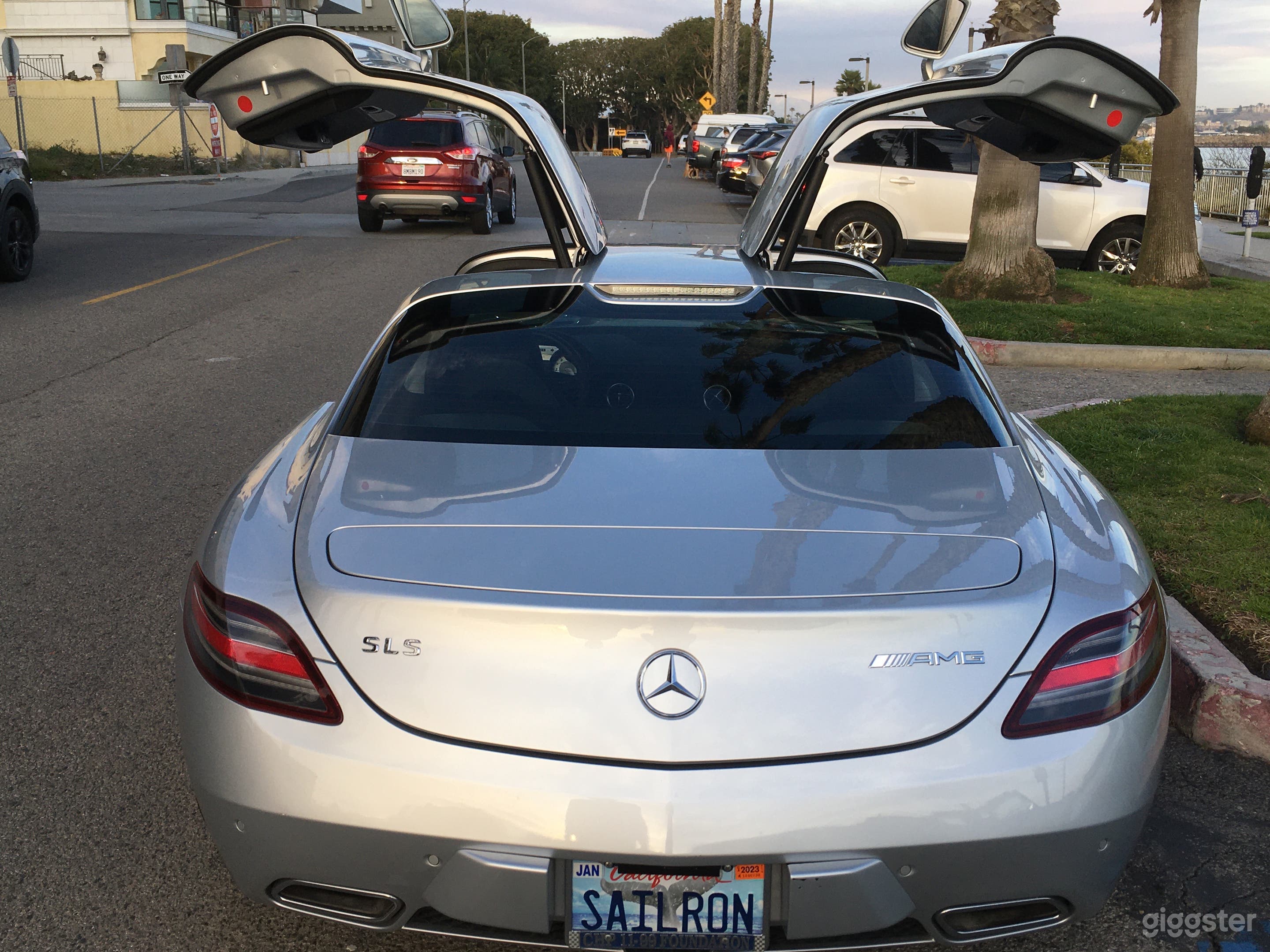 2011 Gullwing Silver Mercedes SLS Masterpiece Photo 3