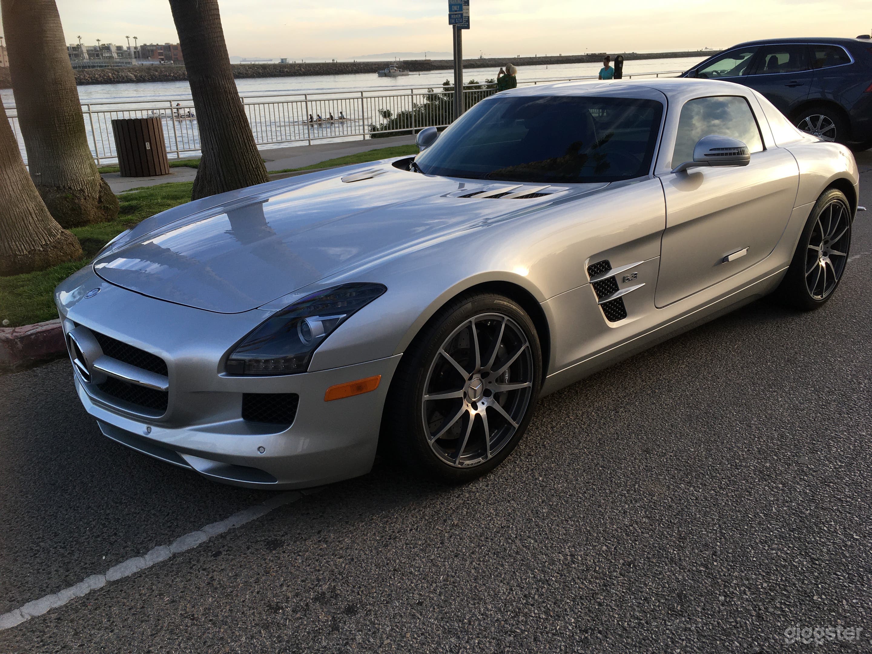 2011 Gullwing Silver Mercedes SLS Masterpiece Photo 4