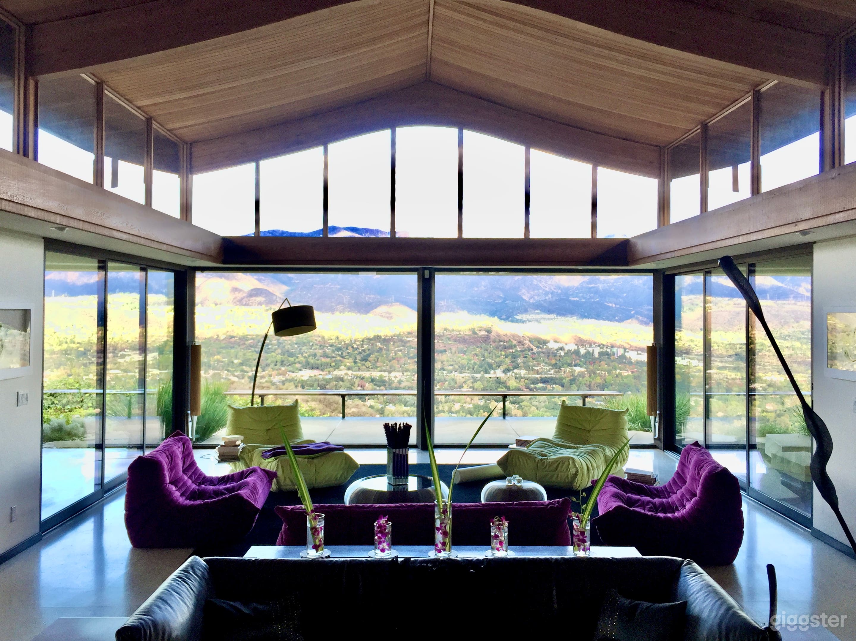 Mid Century Modern Mansion Photo 1