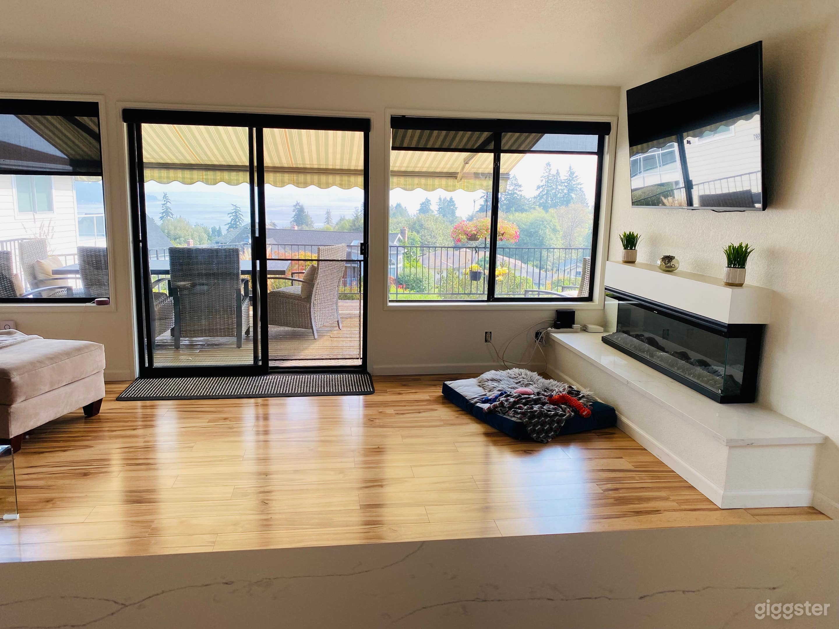 Living room with fireplace