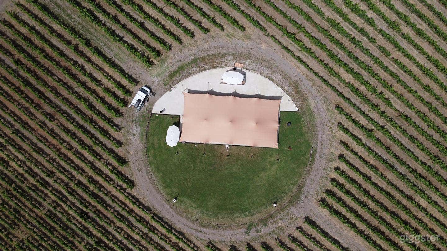 Foto di Vigneto Pittoresco: Il Paradiso degli Amanti del Vino! 2