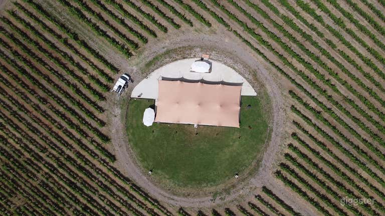  Vigneto Pittoresco: Il Paradiso degli Amanti del Vino! 