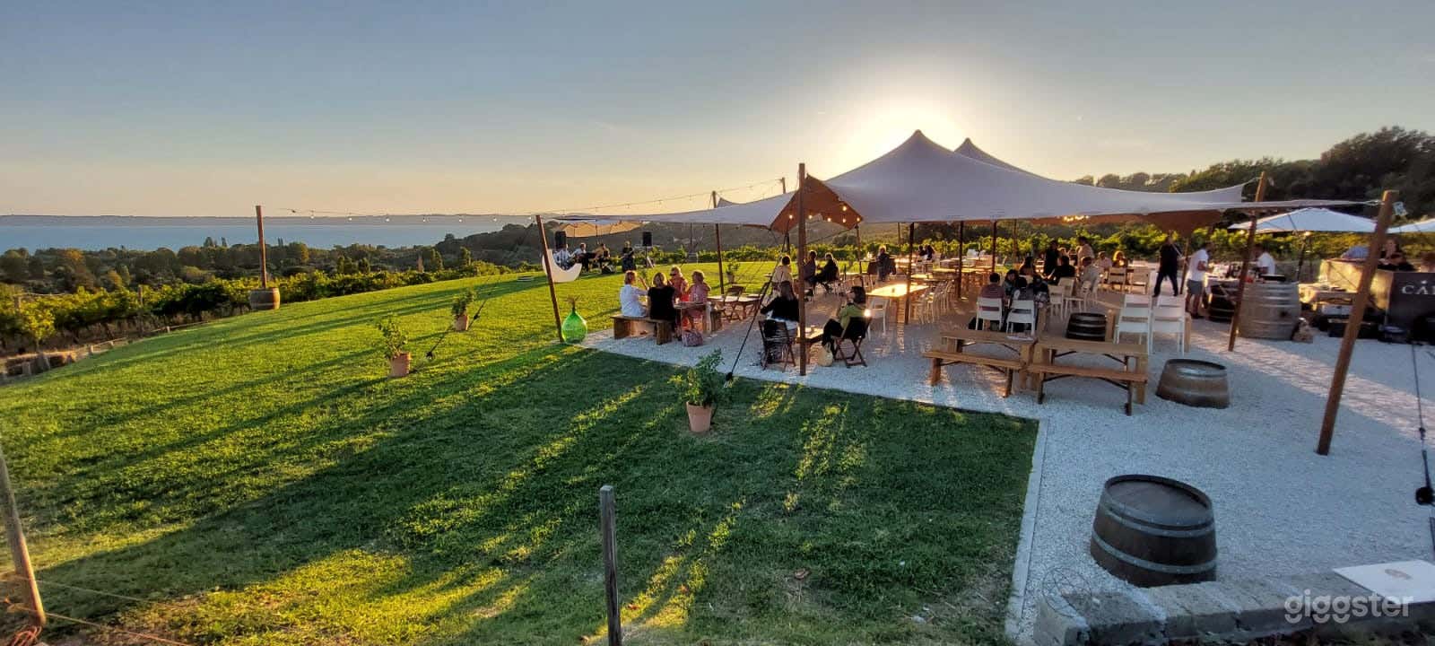 Foto di Vigneto Pittoresco: Il Paradiso degli Amanti del Vino! 3