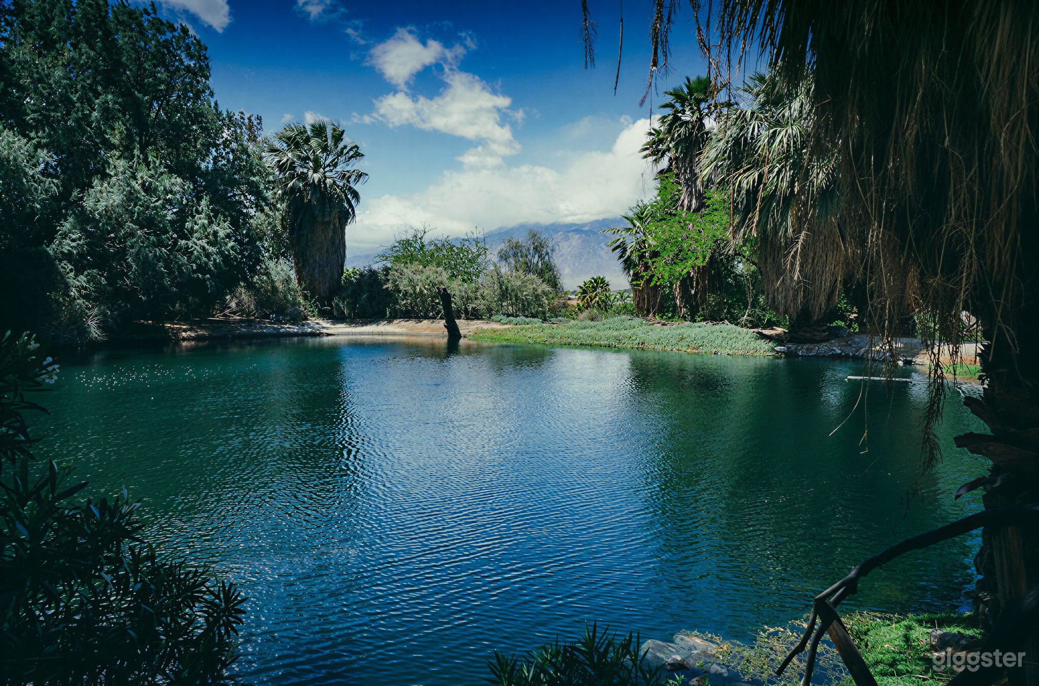 Lazy Lakeside Haven | Ultimate Relaxation & Film Location Photo 2