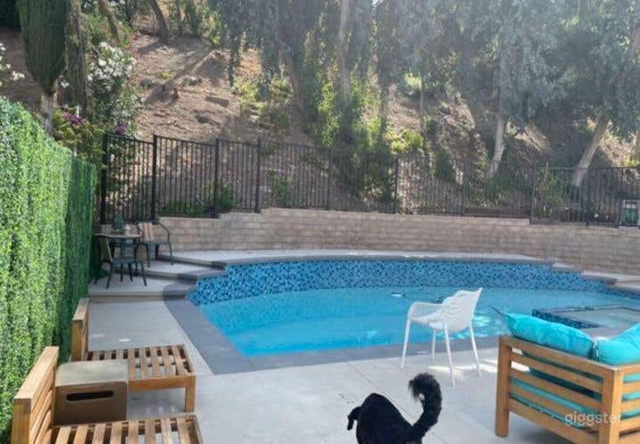 Mid-Century Modern Pool Gem with Hillside Views Photo 3