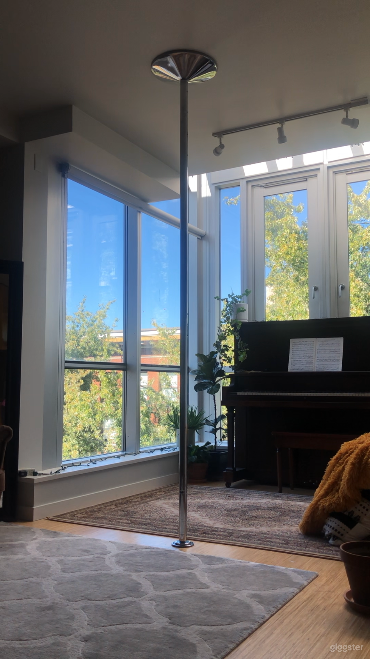 Dance Pole and Piano