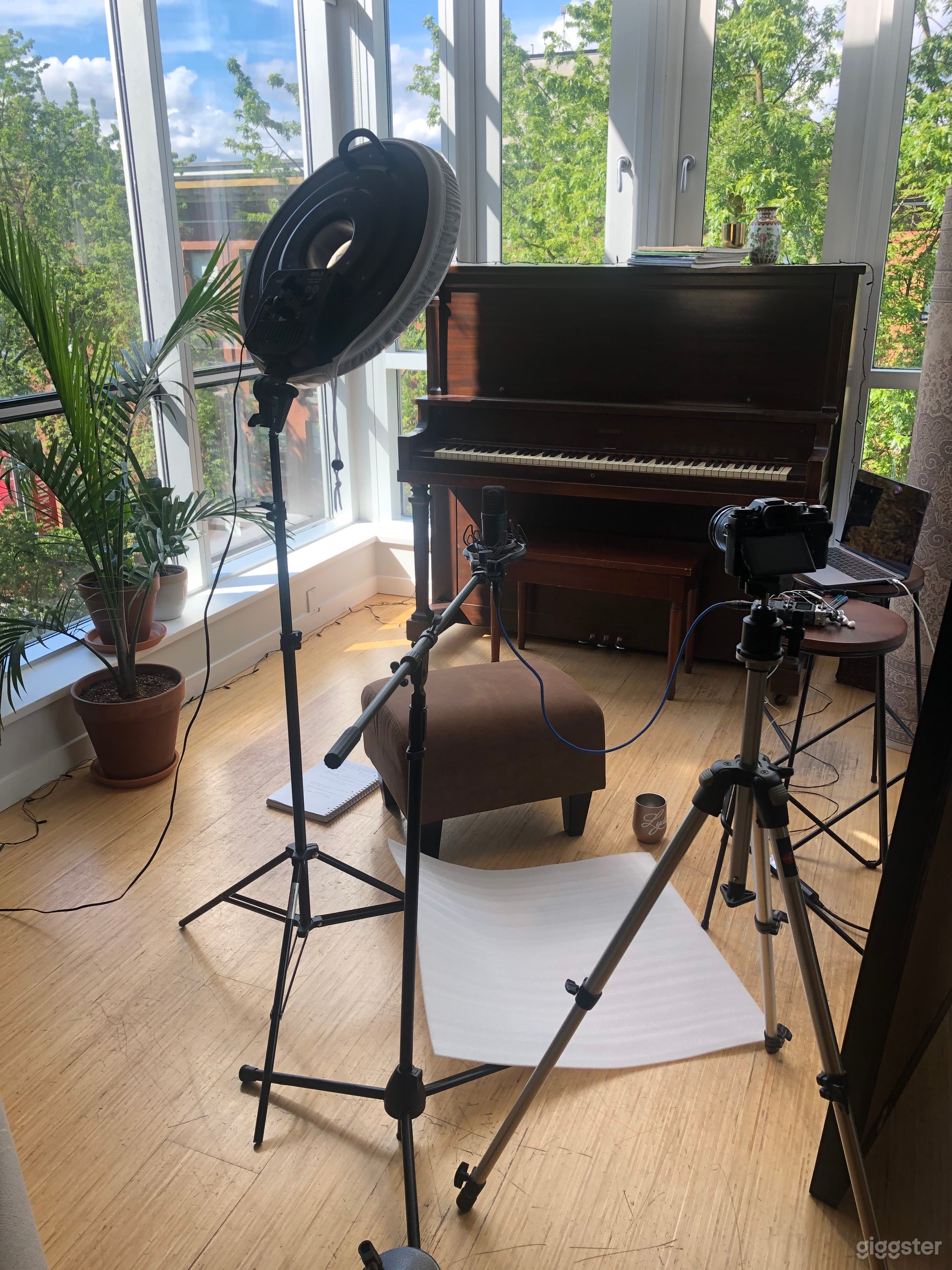 Perfect backdrop for online course/YouTube videos