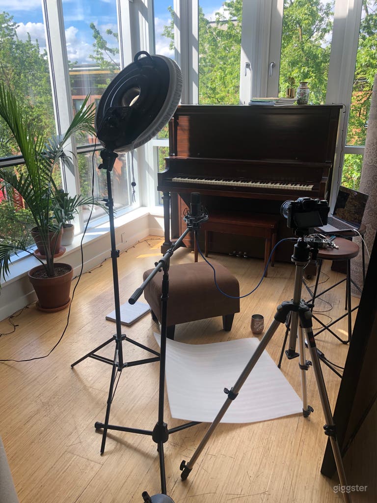  Perfect backdrop for online course/YouTube videos 