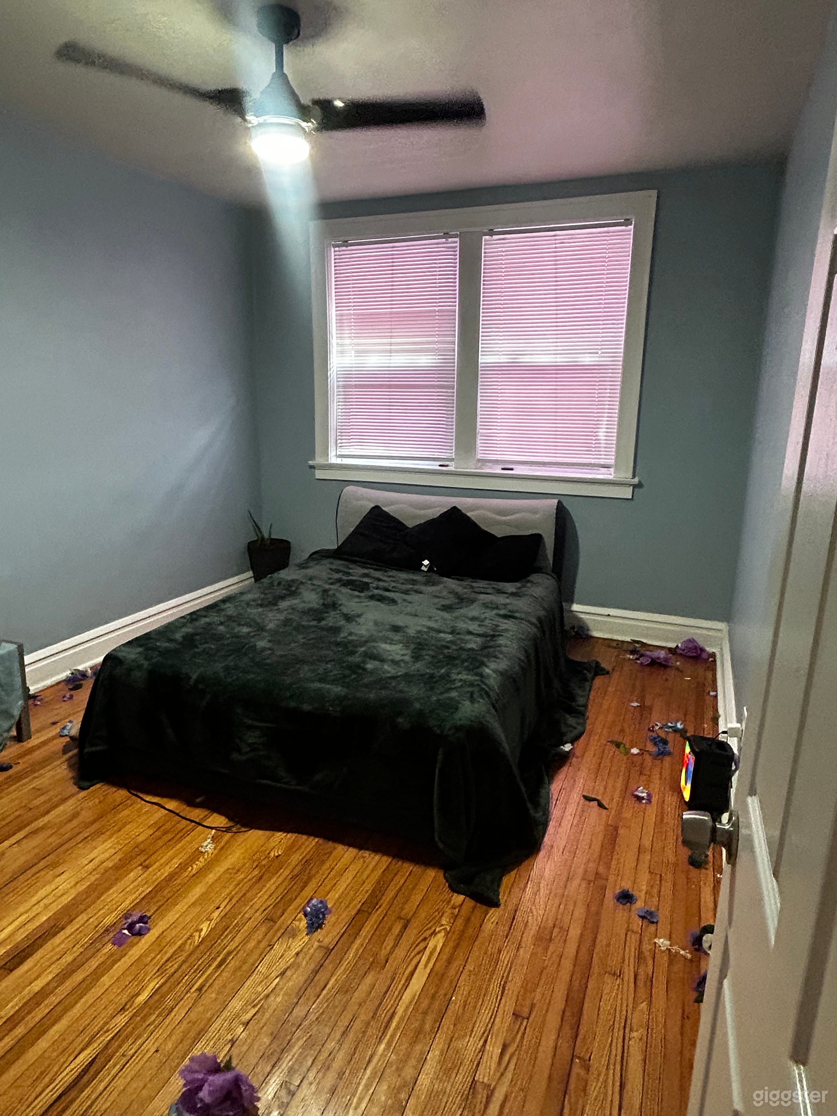 Studio/Office/Practice/Meetings Photo 3