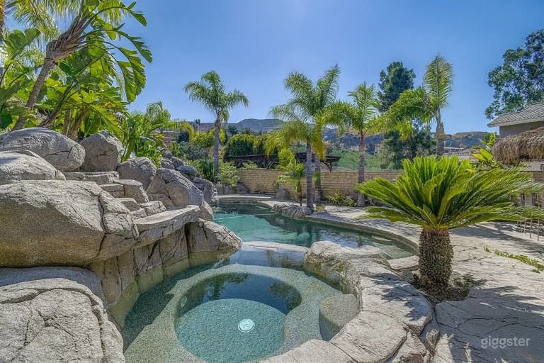  Patio tropical | Piscina con cascada y palmera 
