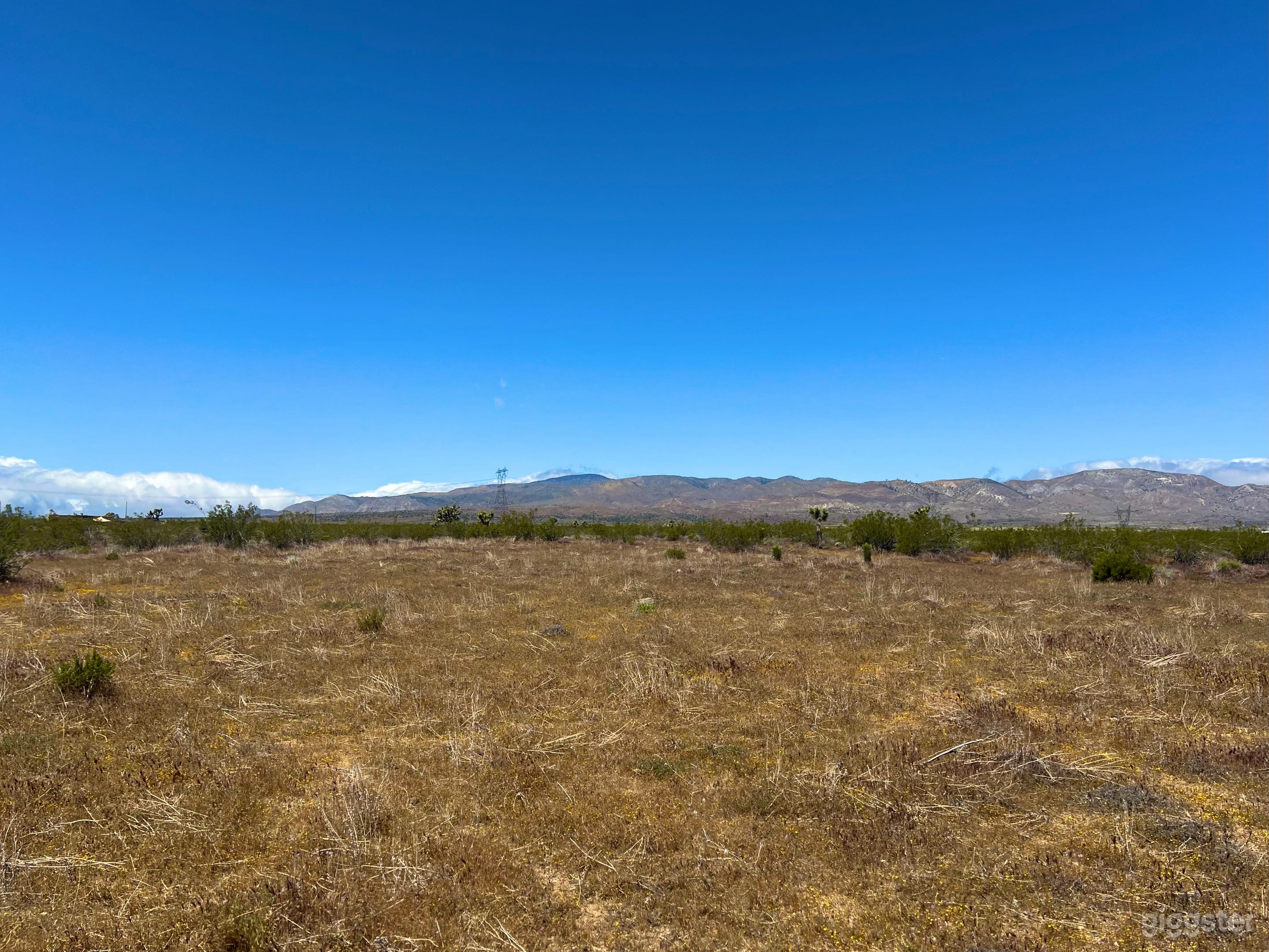 High Desert Open Field with Joshua Trees and Views Photo 2