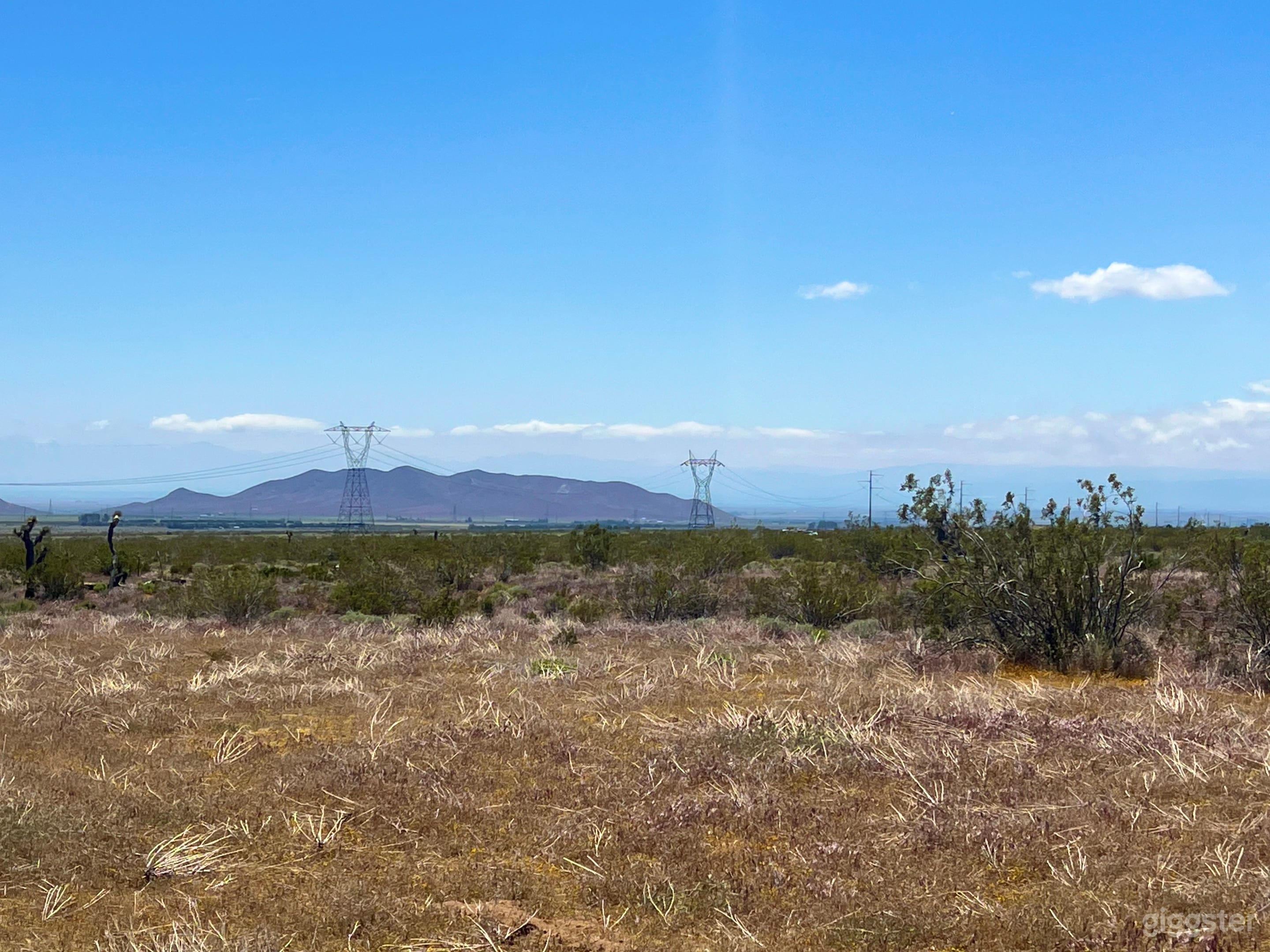 High Desert Open Field with Joshua Trees and Views Photo 3