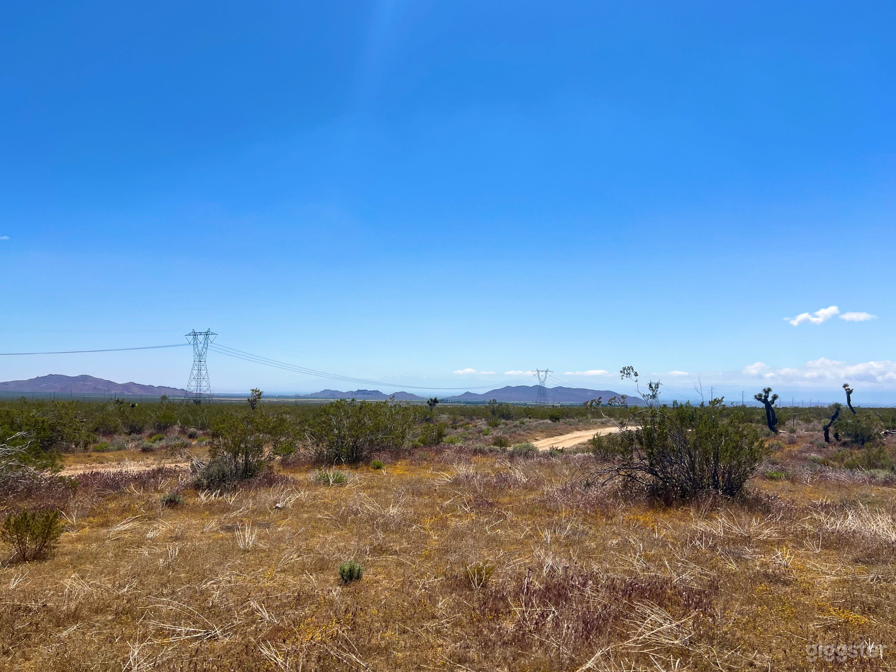 High Desert Open Field with Joshua Trees and Views Photo 4