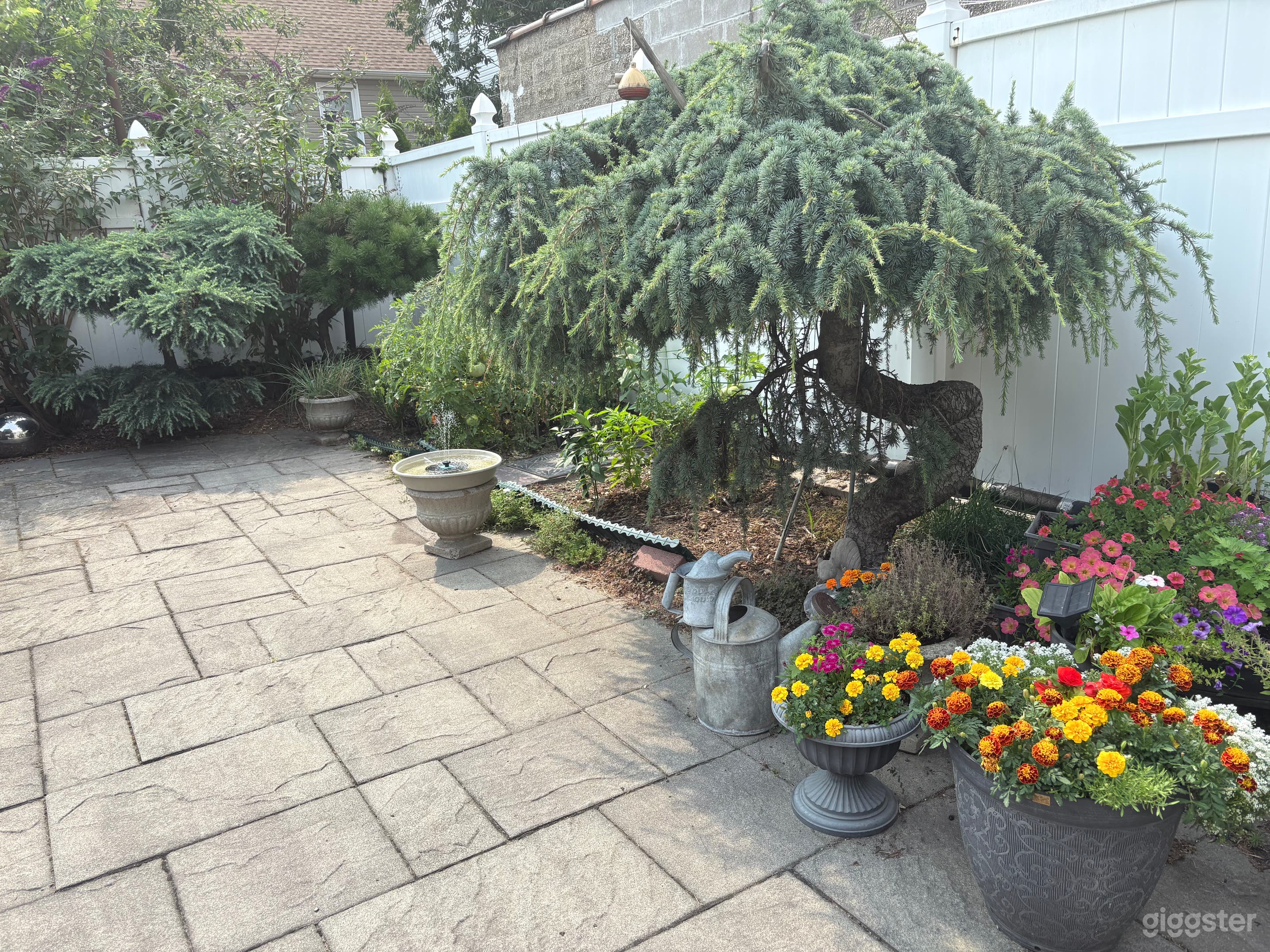 Boho Mid-Century Vibe w/Oasis Garden Photo 2