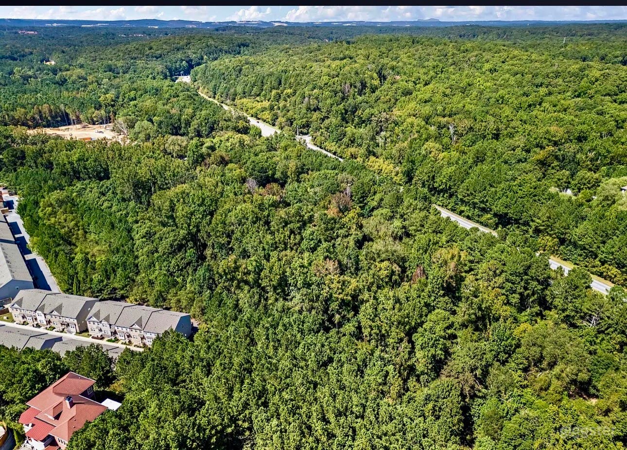 Private Wooded Land with Creek – Film Location Photo 4