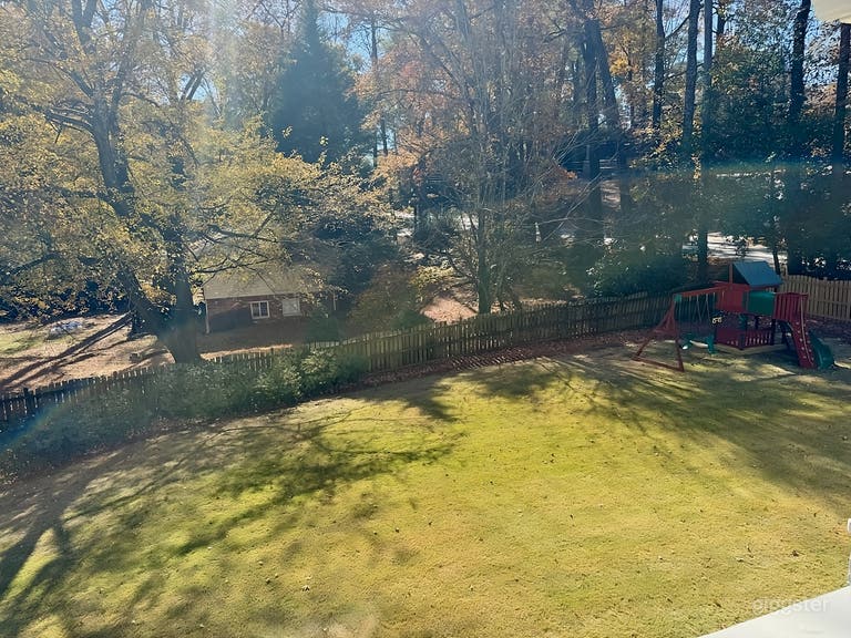  Sunny Lawn Backyard with Playset 